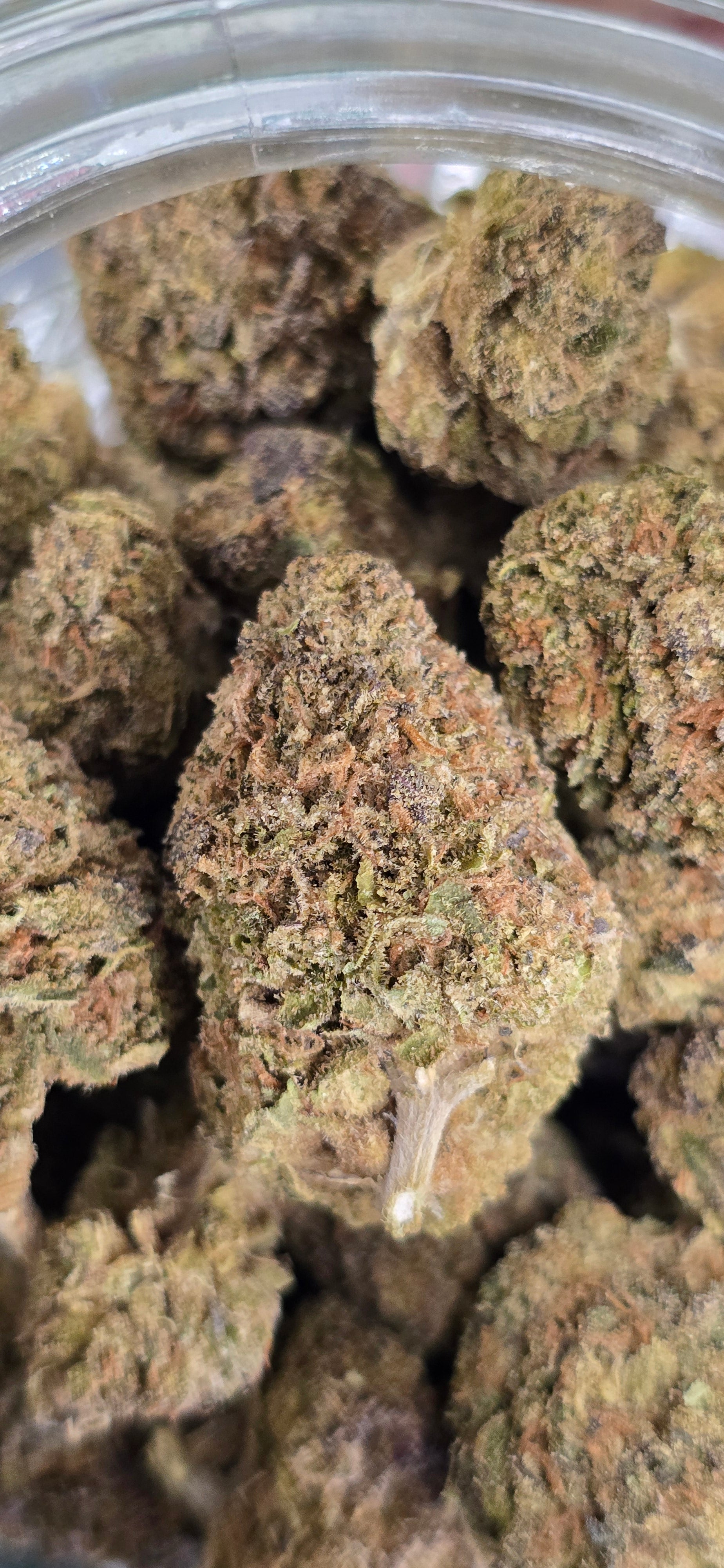 AAA+ Indoor THC-A Flower  ( Hybrid )