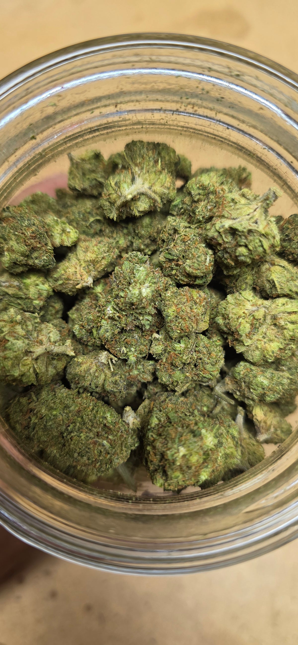 AAA+ Indoor THC-A Flower  ( Indica )