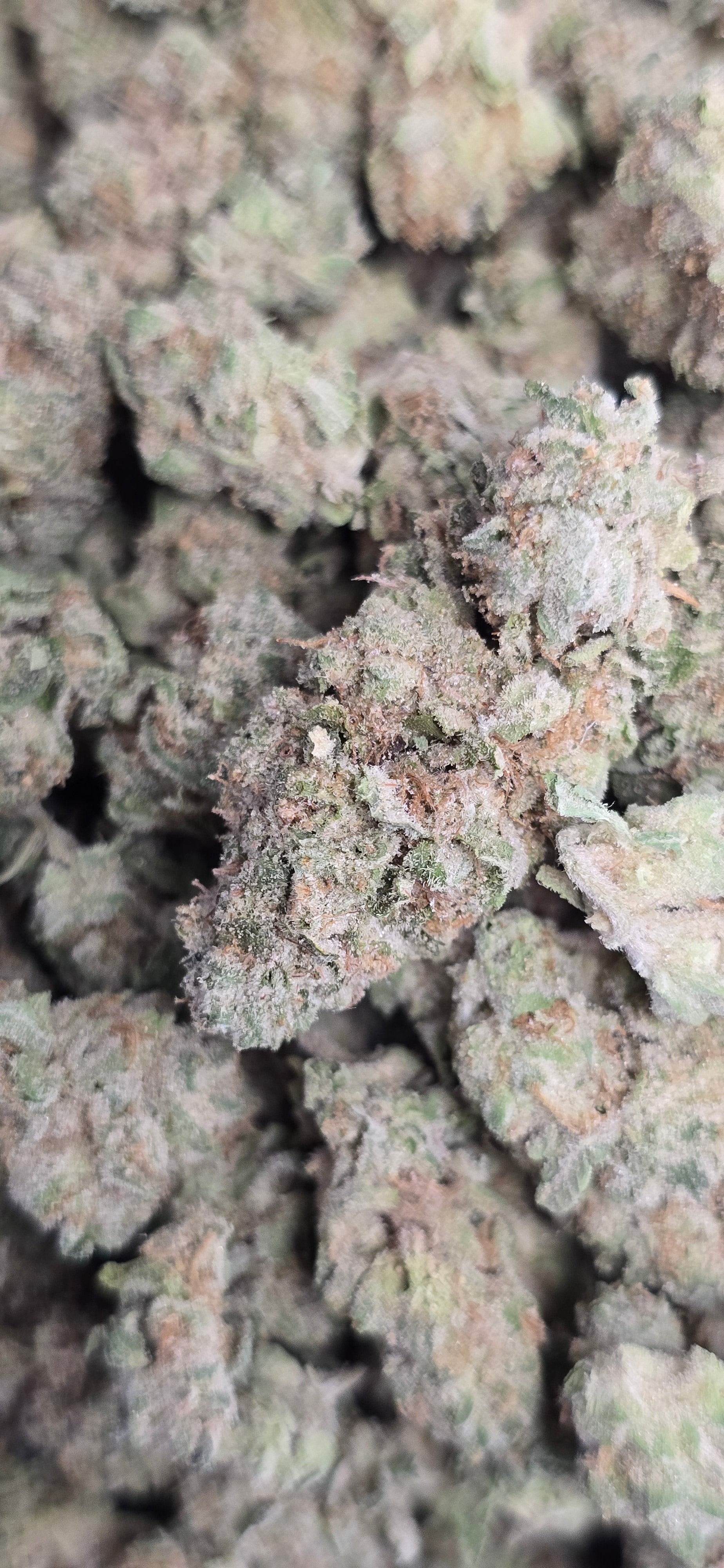 💚 Top Tier Strains 💚