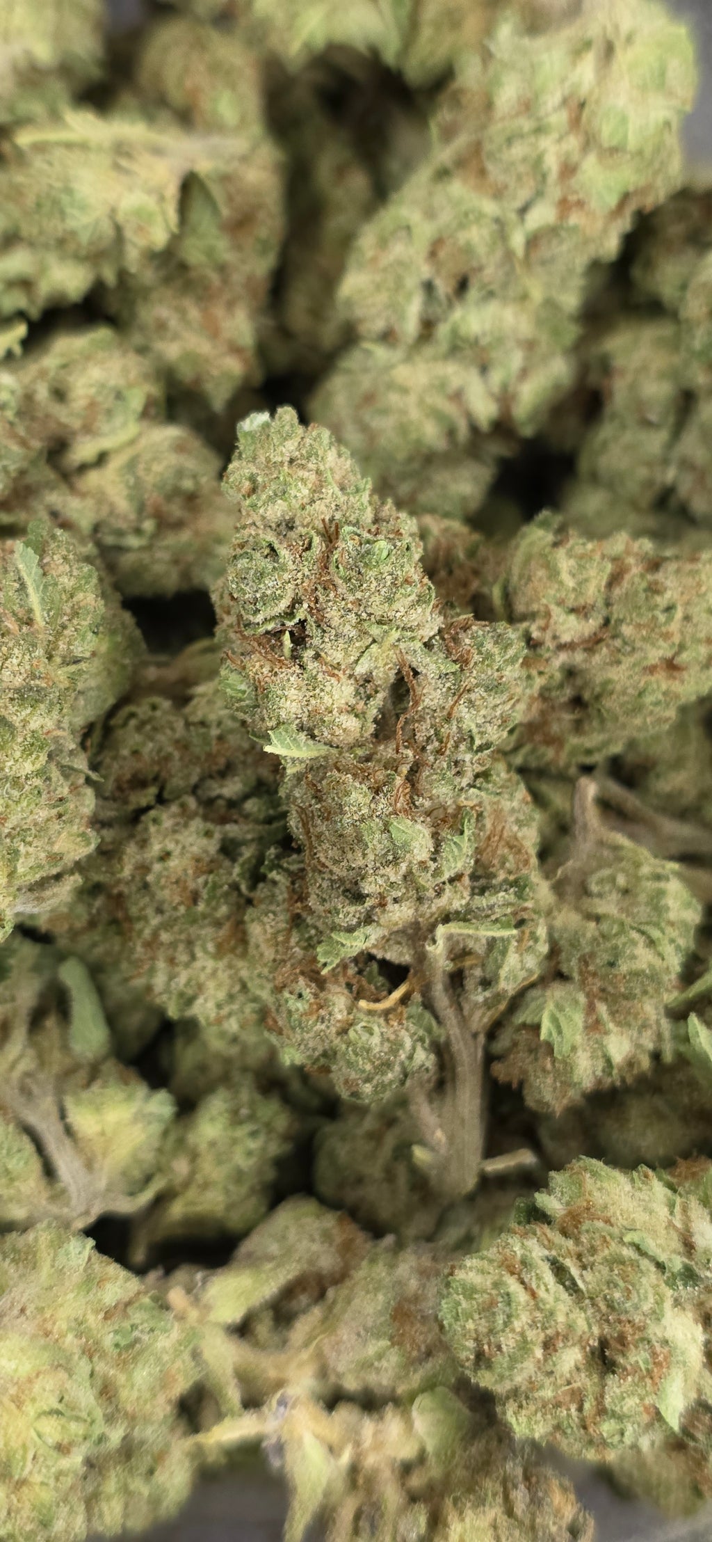 💲Budget Strains 💲