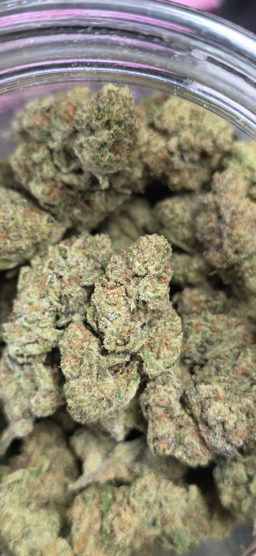 AAA+ Indoor THC-A Flower  ( Sativa )