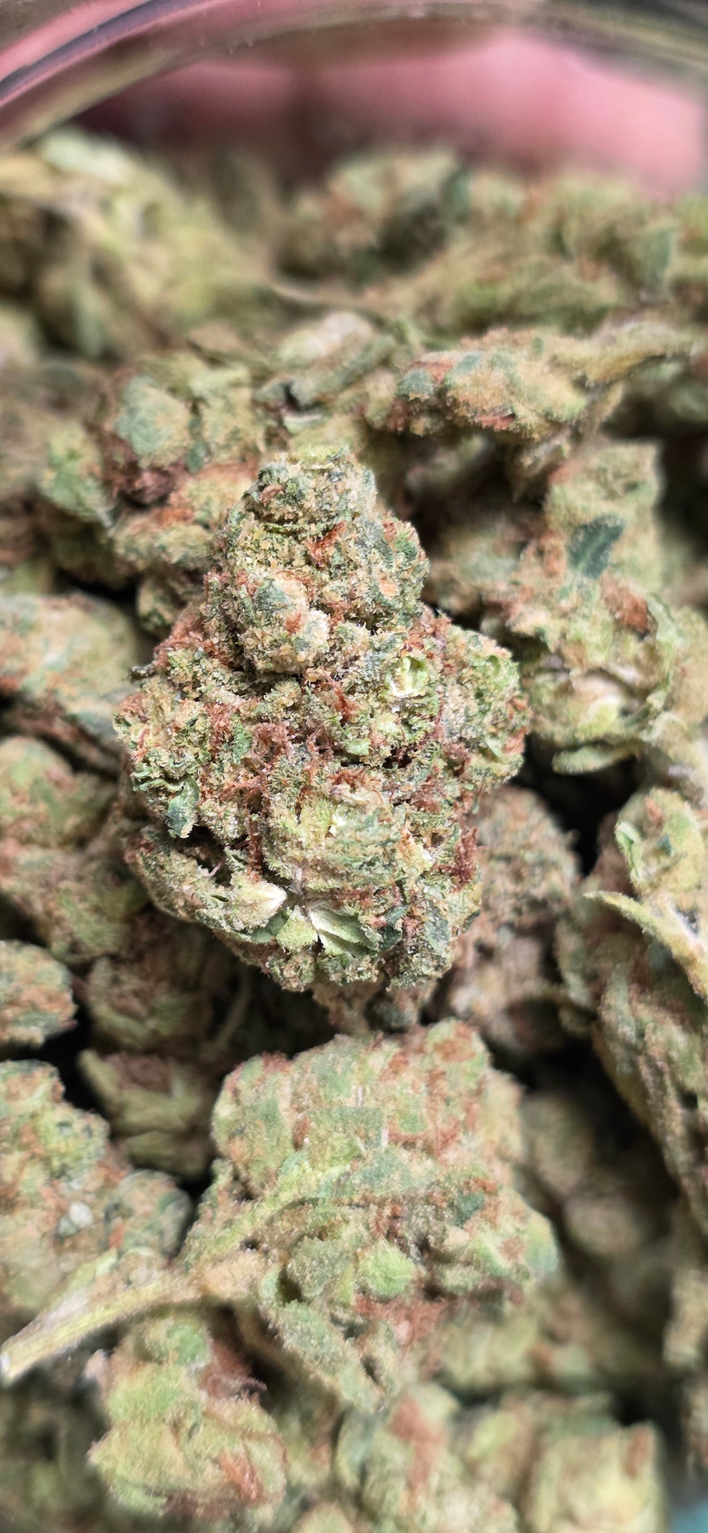 AAA+ Indoor THC-A Flower  ( Indica )