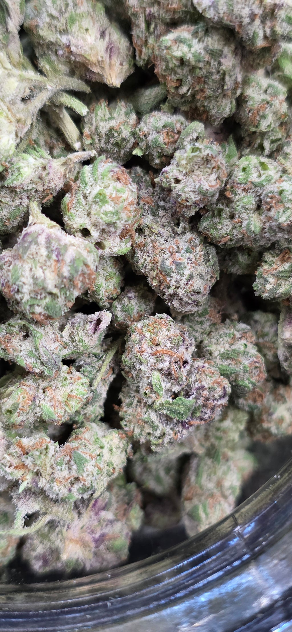 Popcorn Specials ⛽️