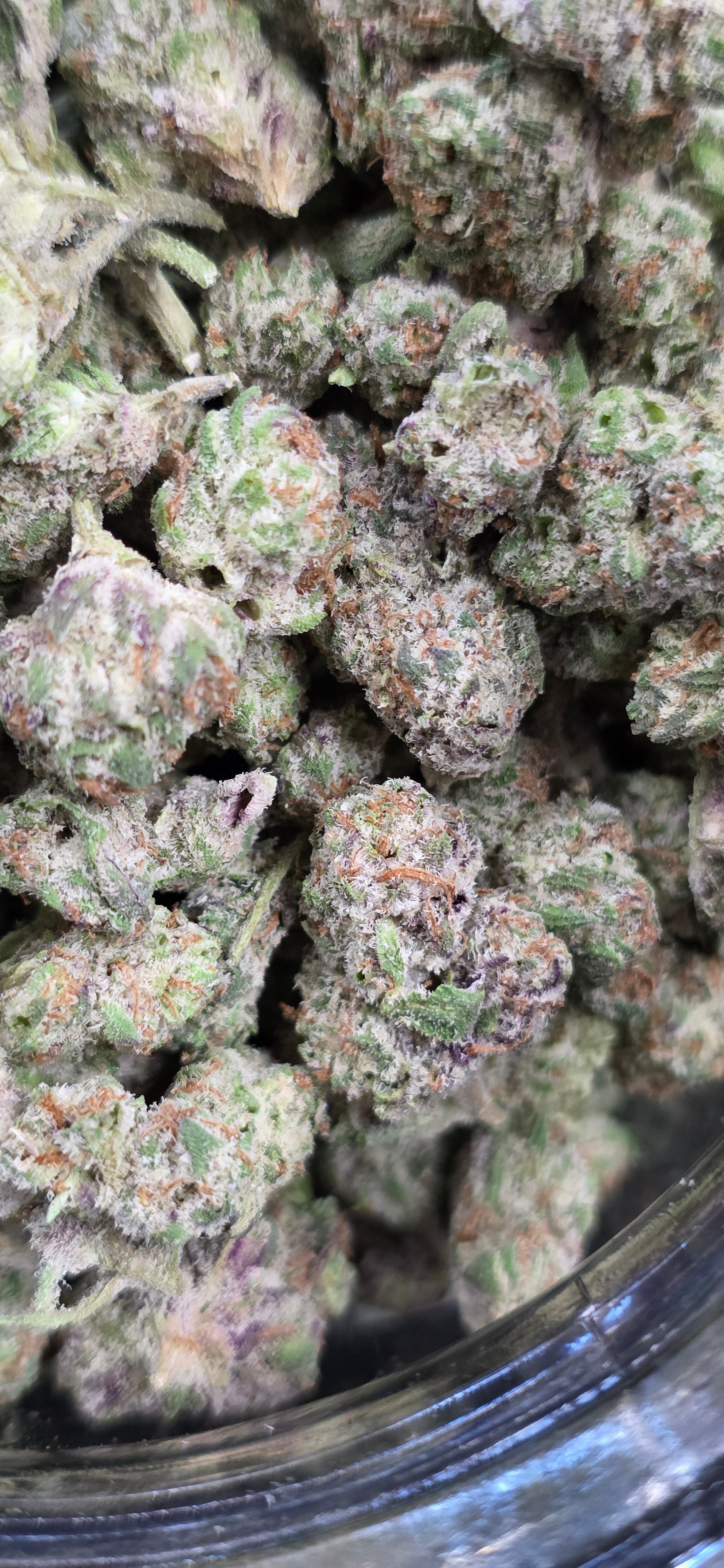 Popcorn Specials ⛽️