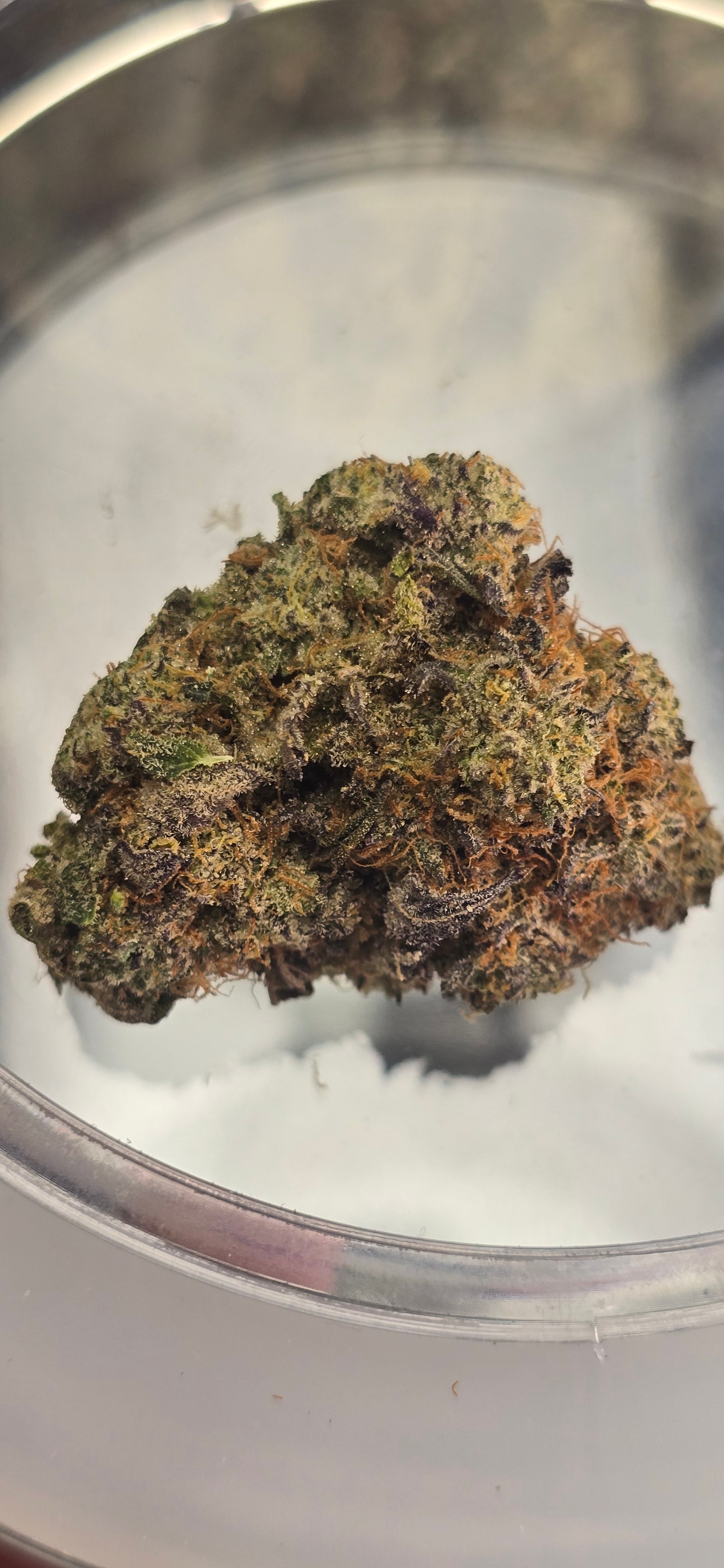 💚 Top Tier Strains 💚