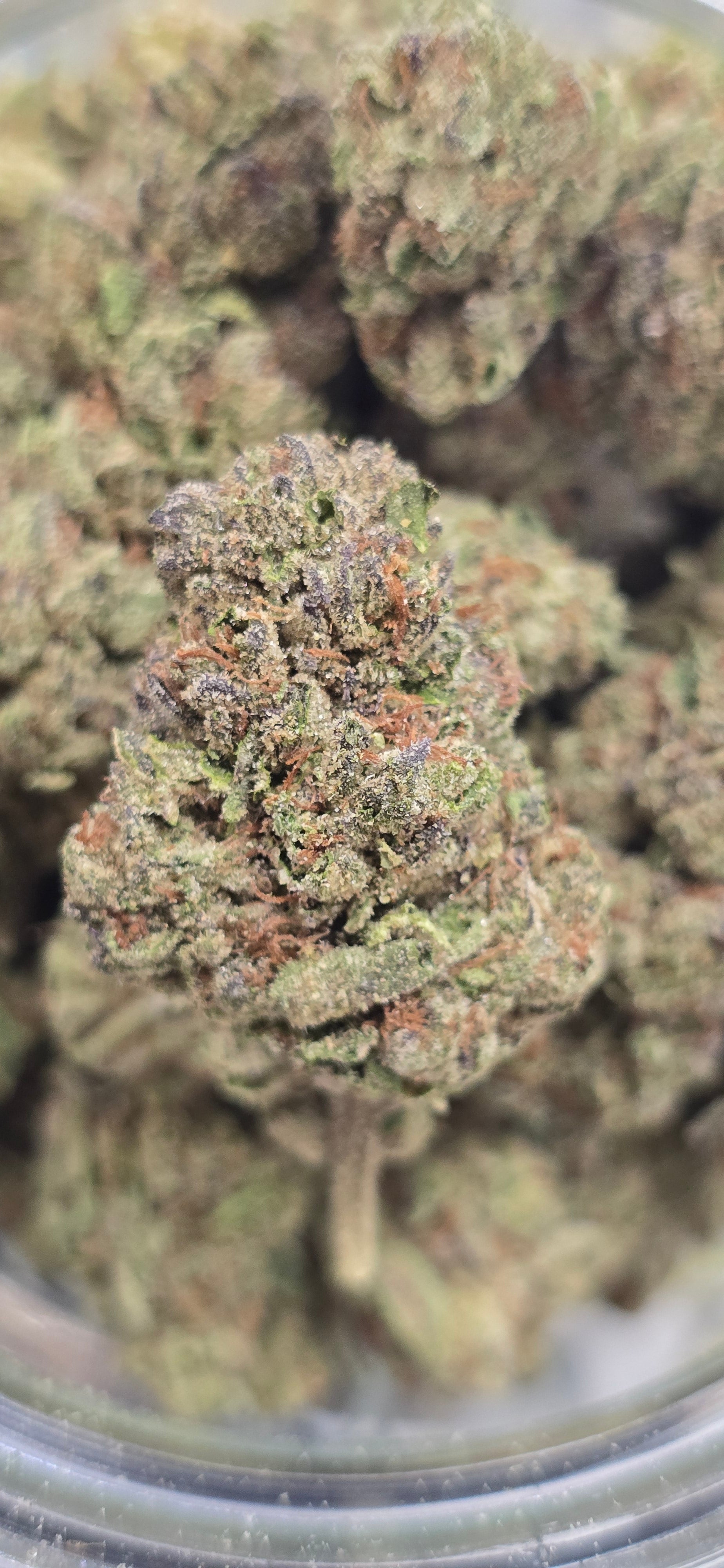 AAA+ Indoor THC-A Flower  ( Sativa )