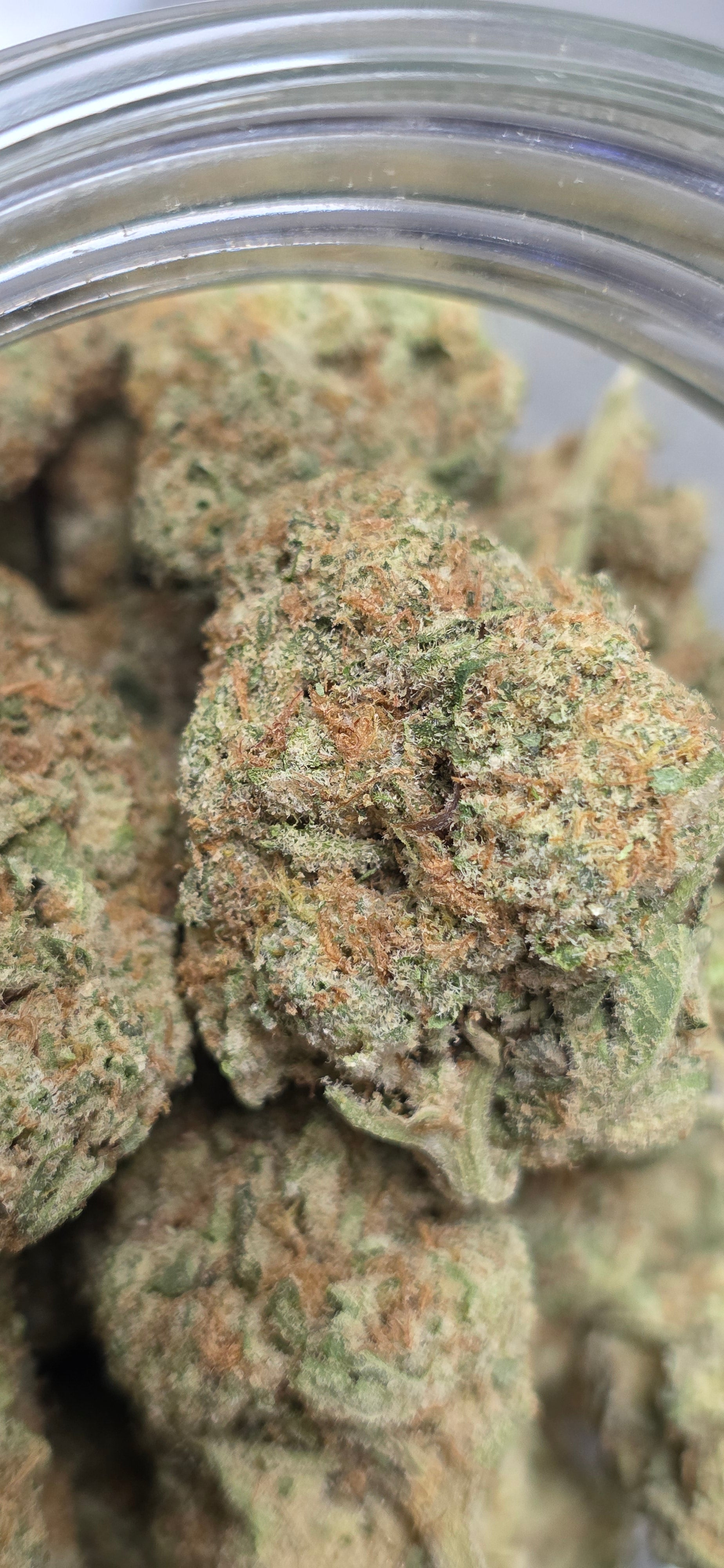 AAA+ Indoor THC-A Flower  ( Sativa )