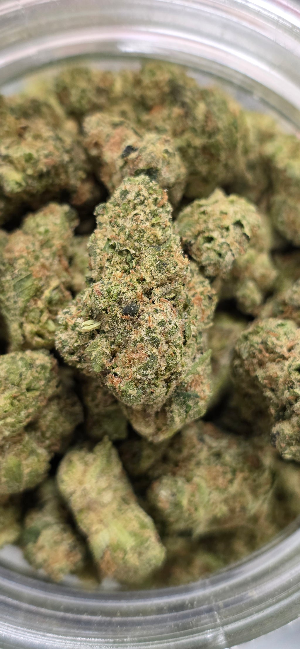 AAA+ Indoor THC-A Flower  ( Indica )