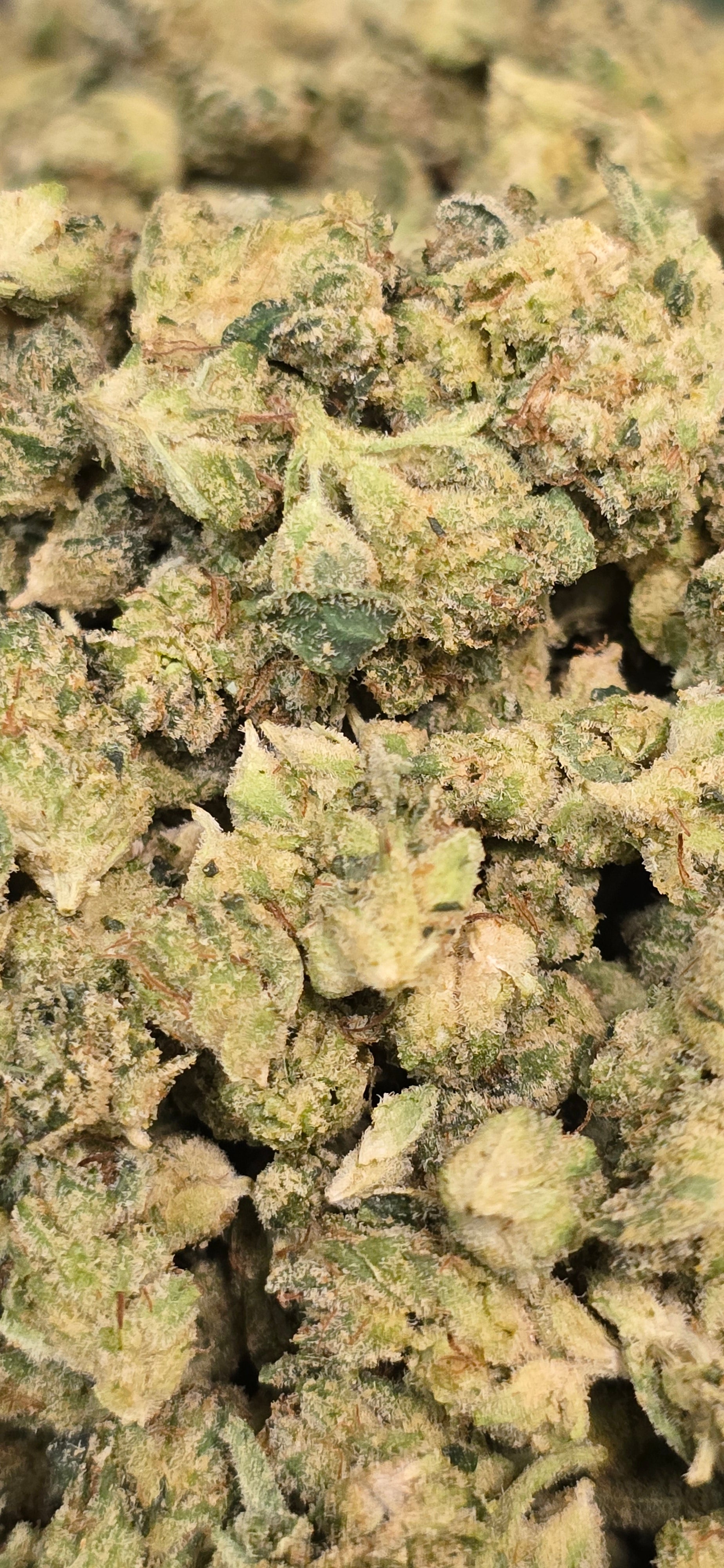 Popcorn Specials ⛽️