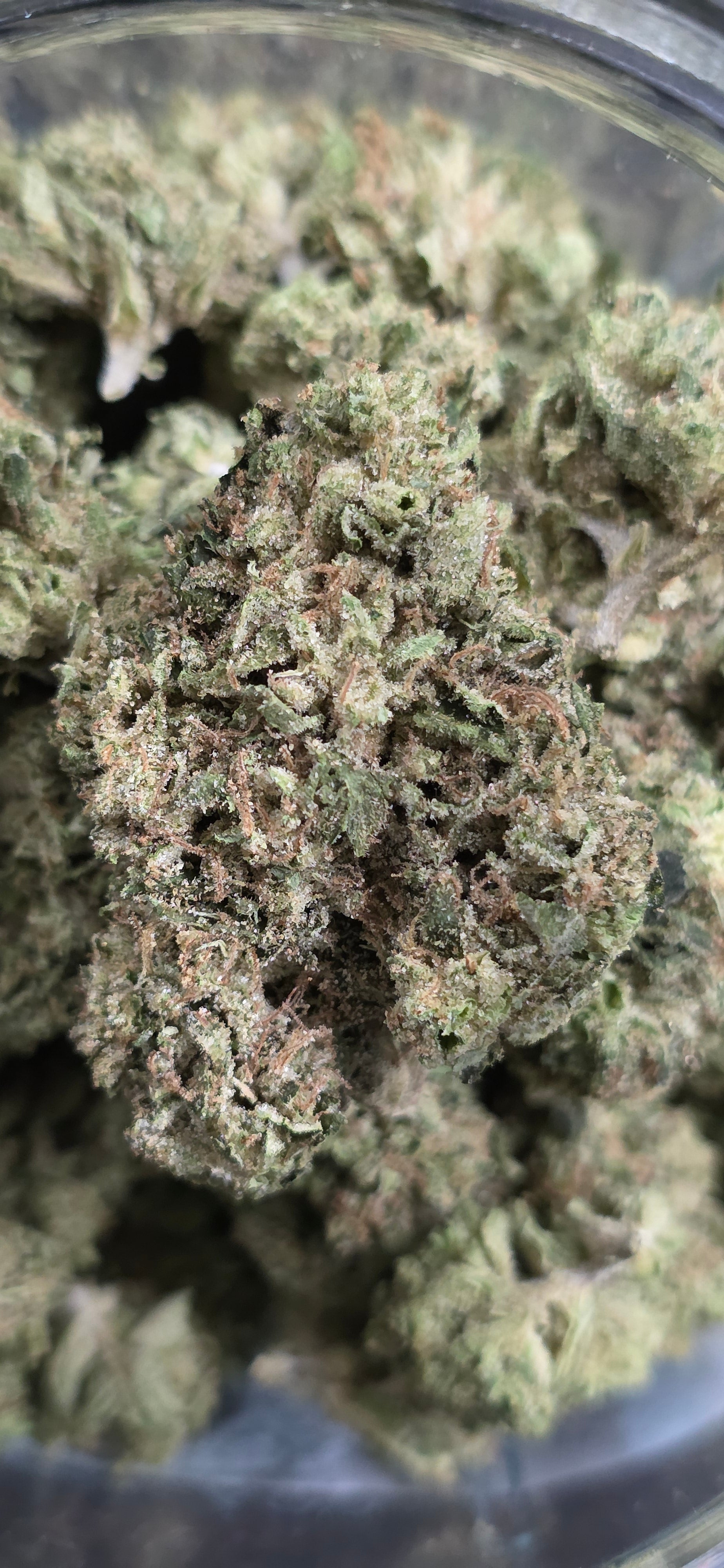 AAA+ Indoor THC-A Flower  ( Hybrid )
