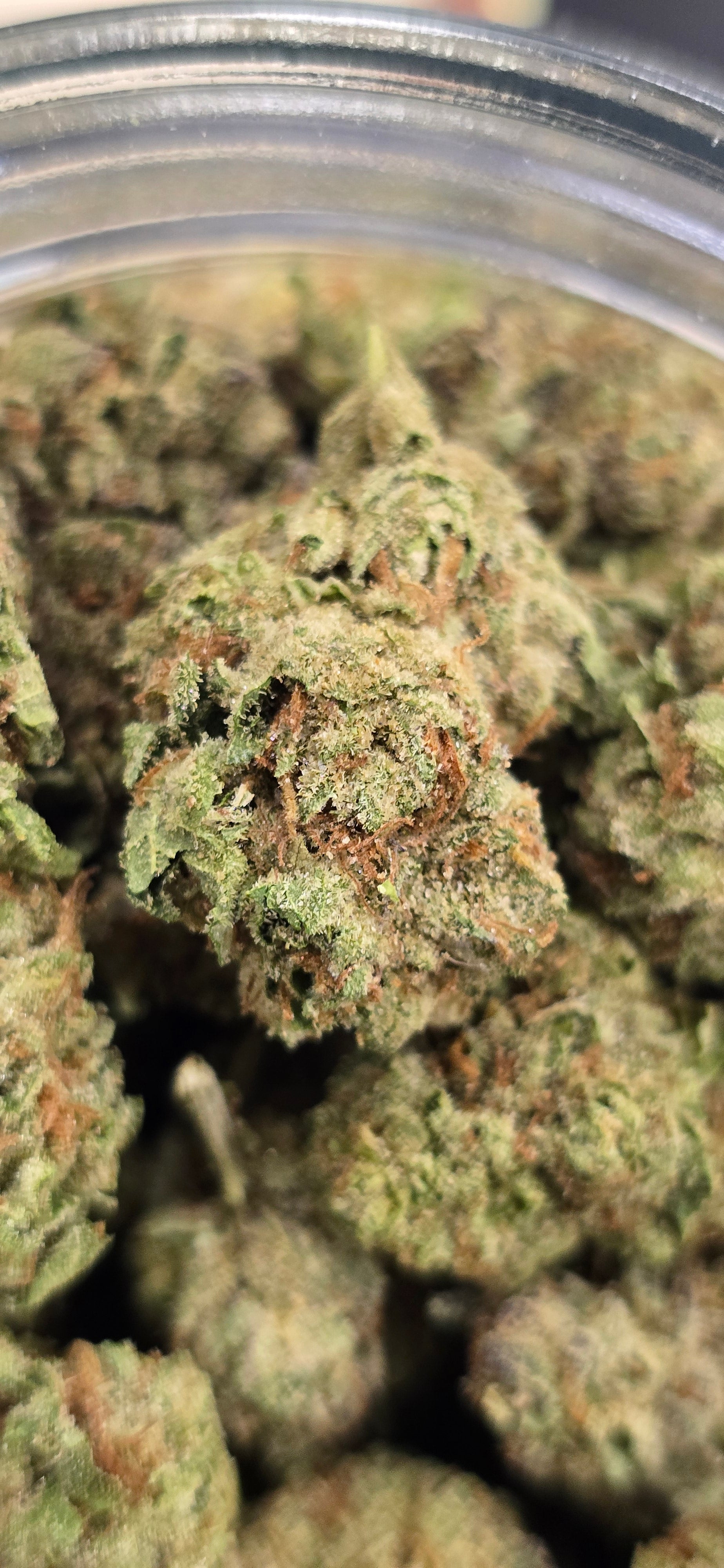 AAA+ Indoor THC-A Flower  ( Sativa )