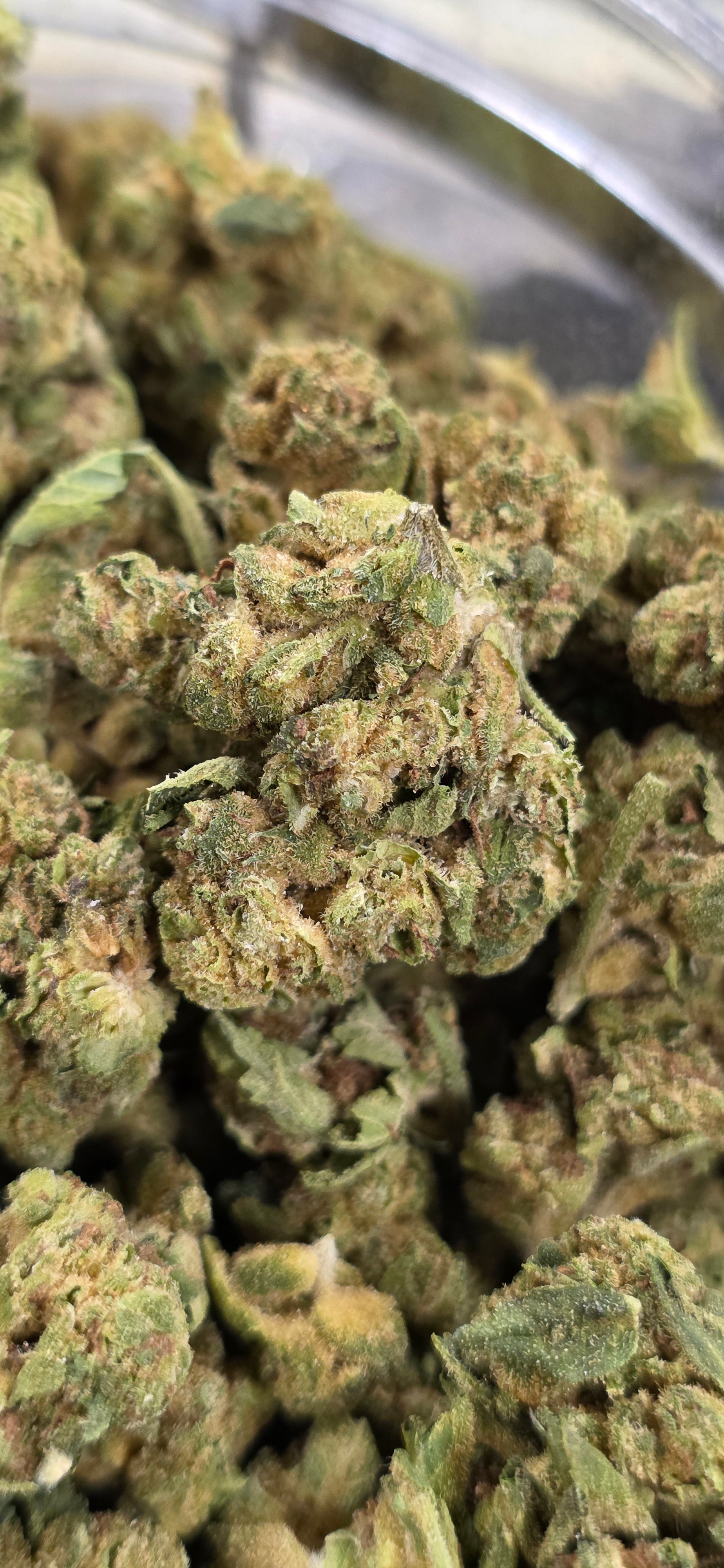 💲Budget Strains 💲