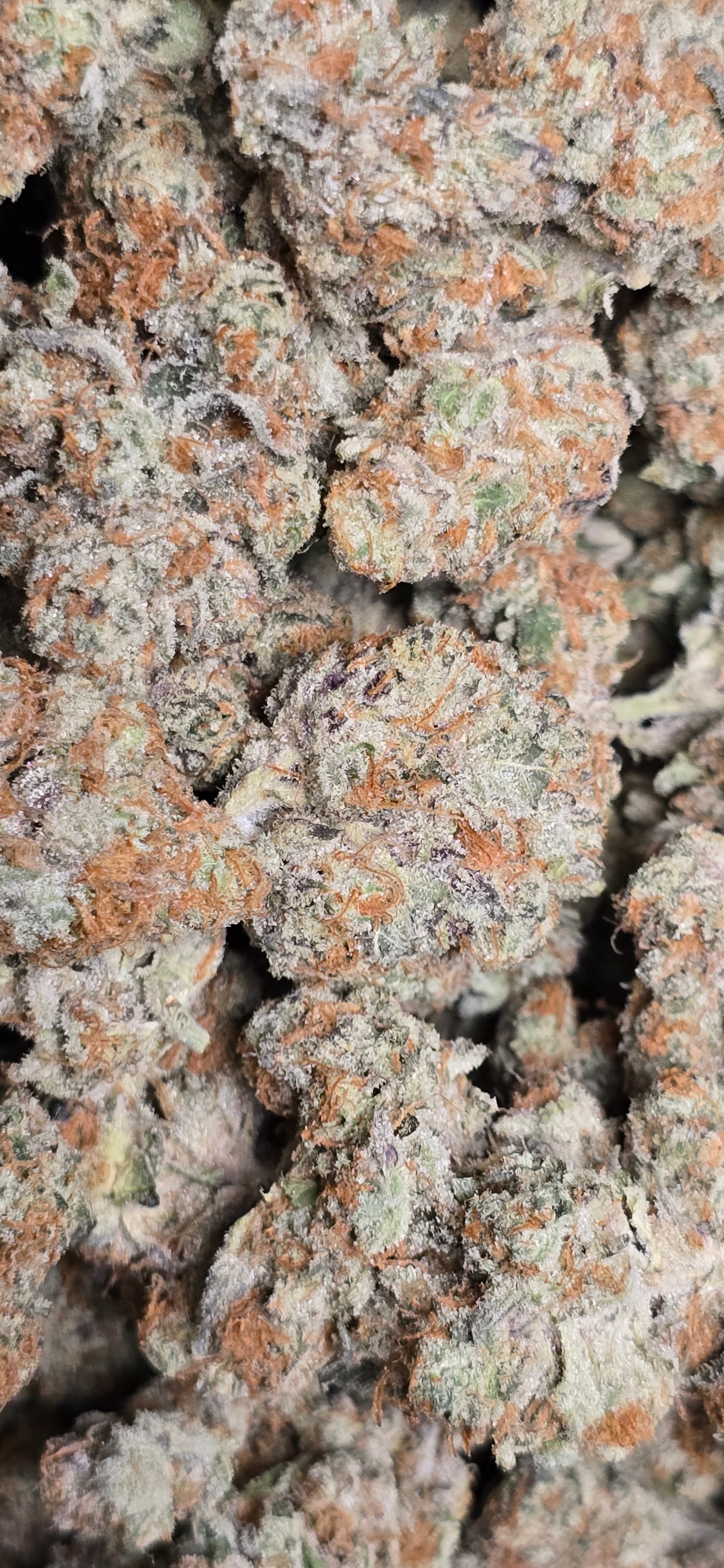 💚 Top Tier Strains 💚