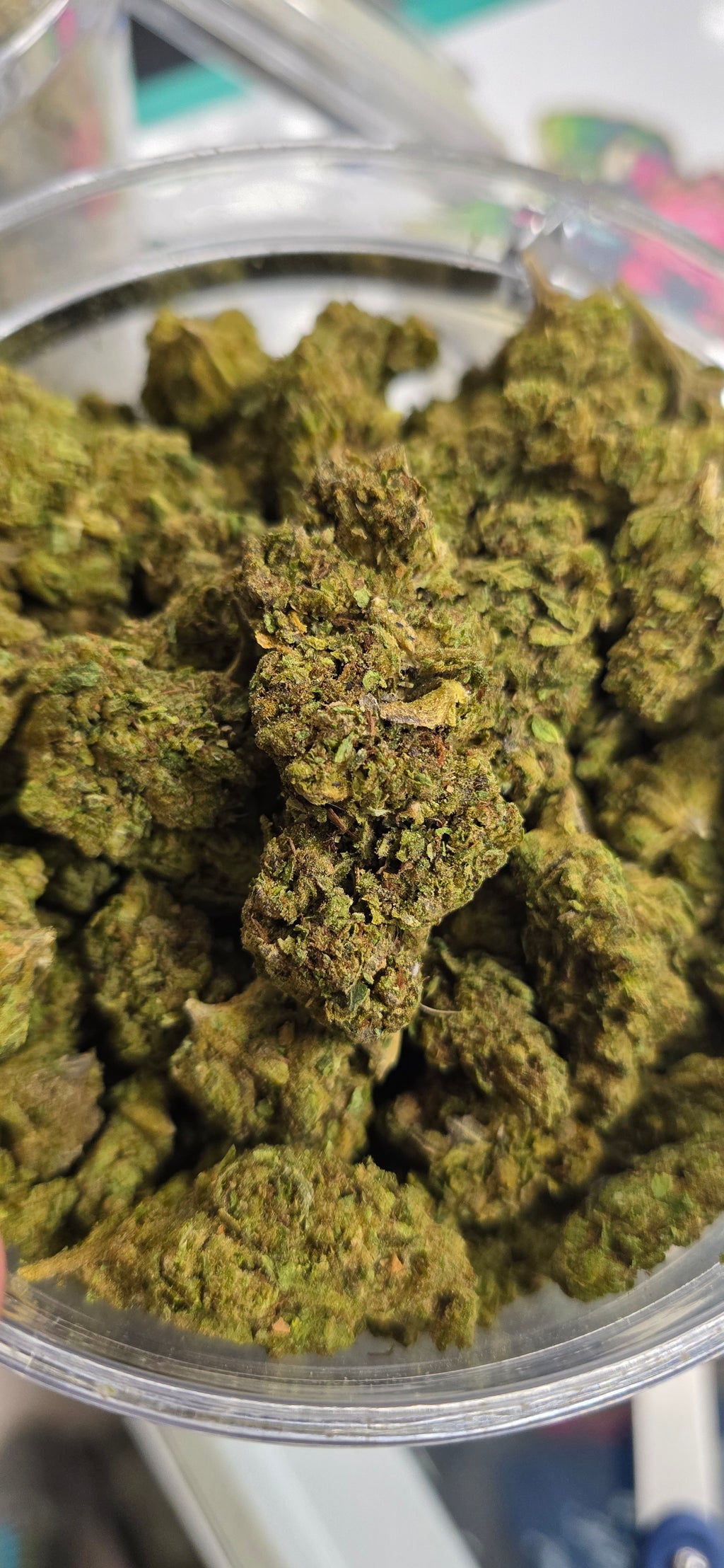 💲Budget Strains 💲