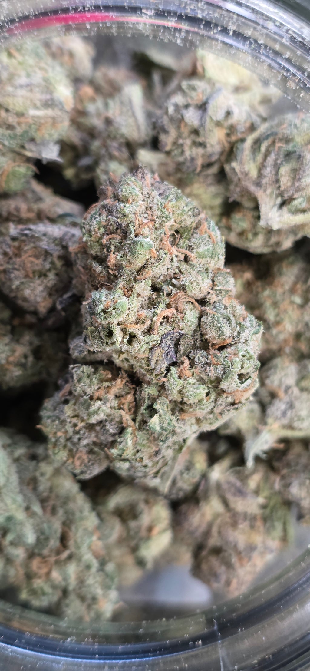 AAA+ Indoor THC-A Flower  ( Hybrid )