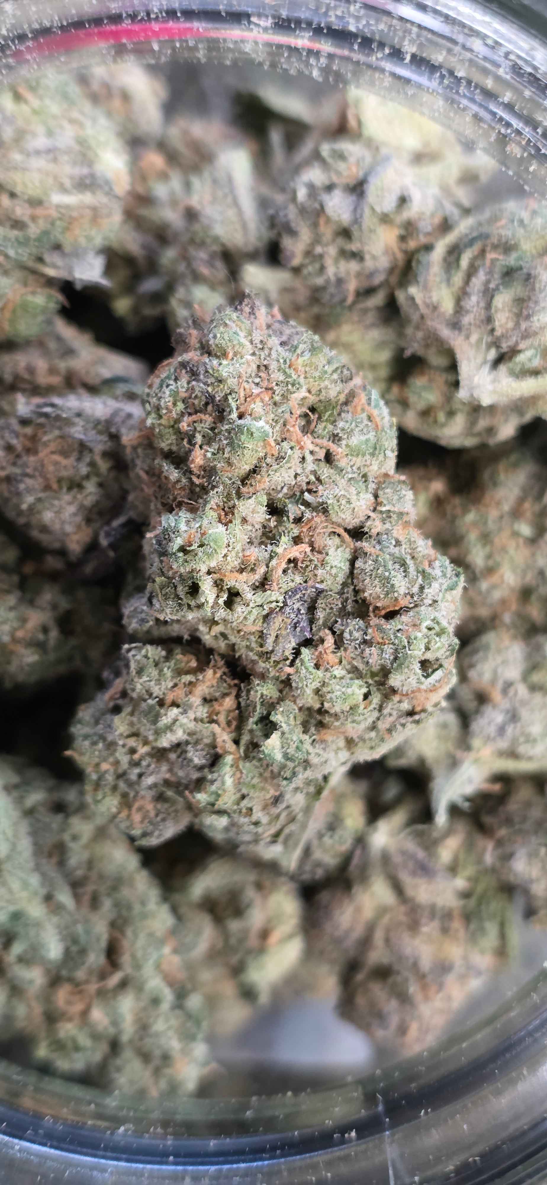 AAA+ Indoor THC-A Flower  ( Hybrid )