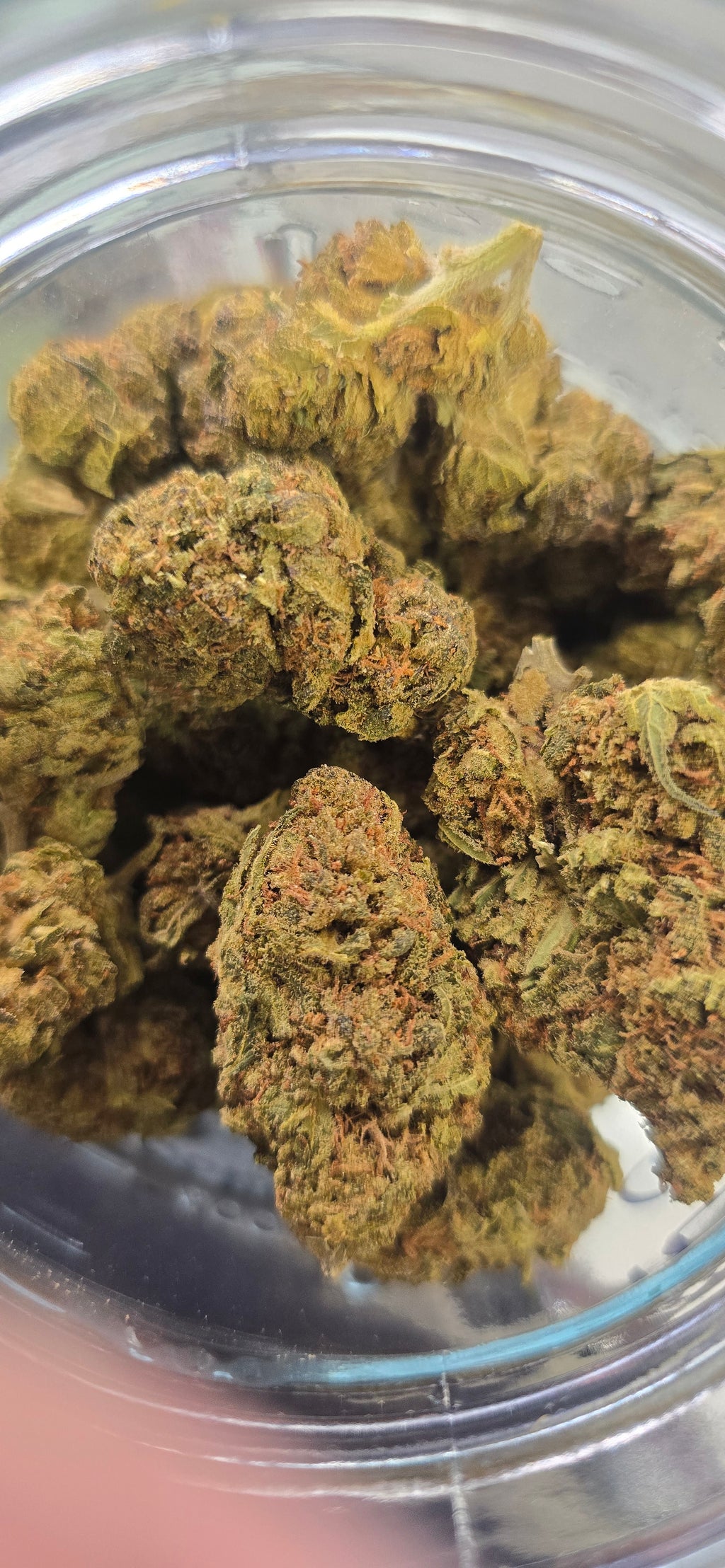 💲Budget Strains 💲