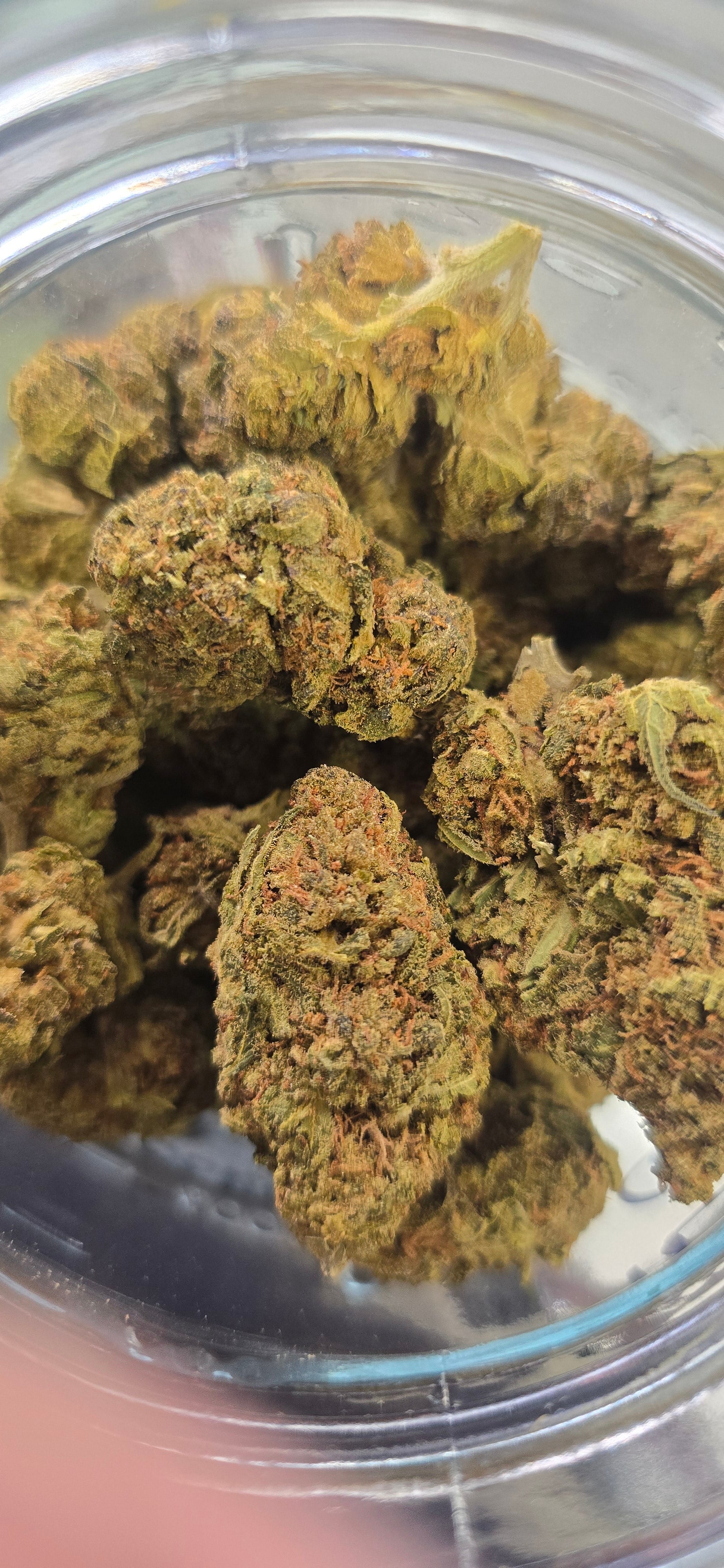 💲Budget Strains 💲