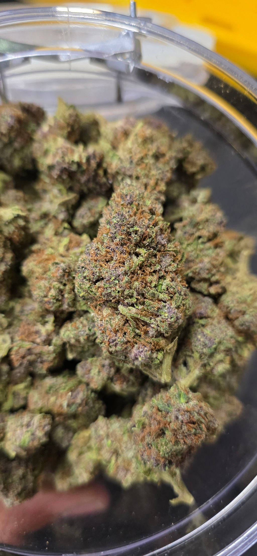 💲Budget Strains 💲