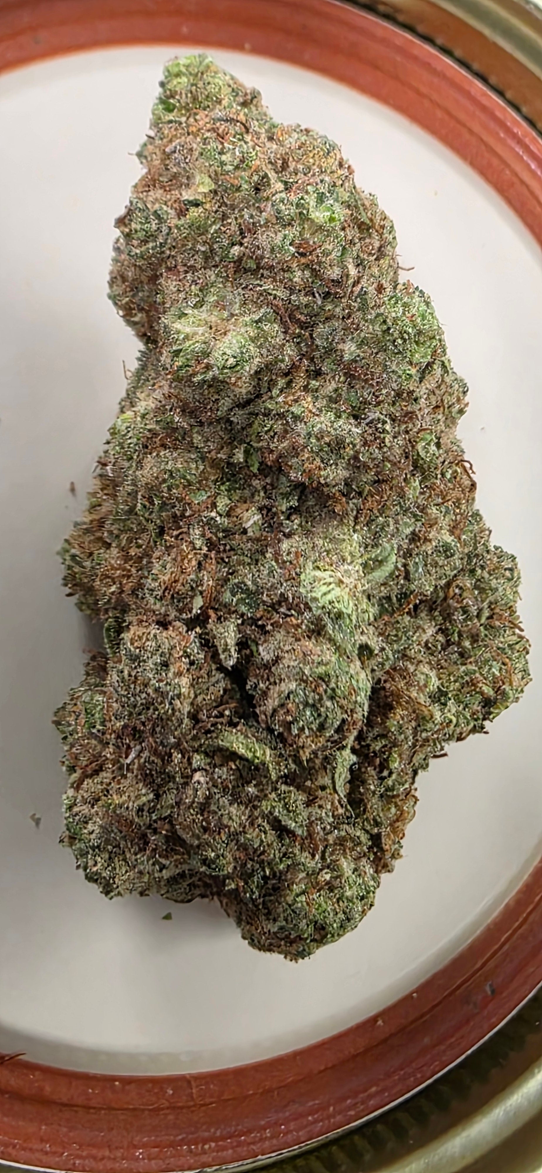 AAA+ Indoor THC-A Flower  ( Hybrid )