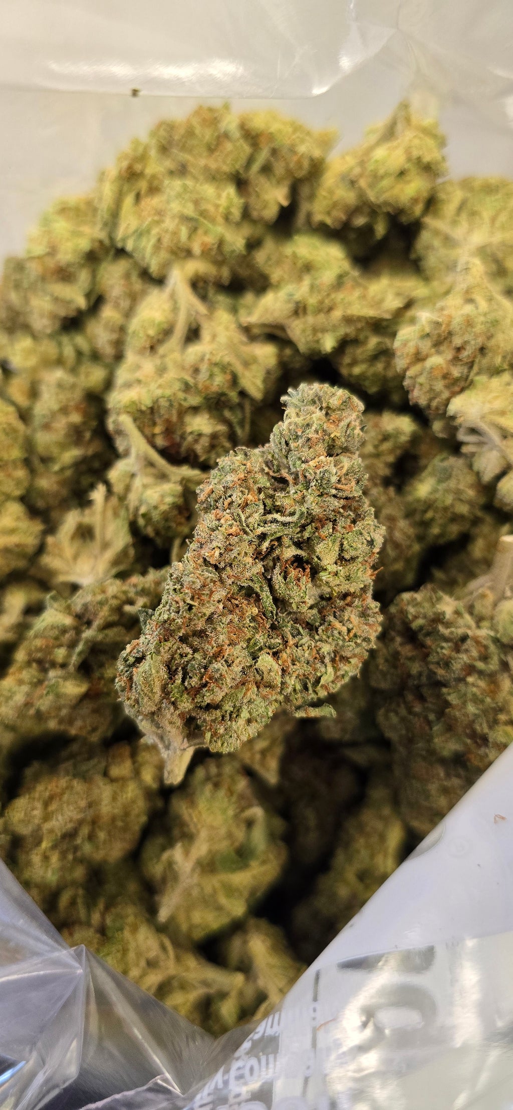 AAA+ Indoor THC-A Flower  ( Hybrid )