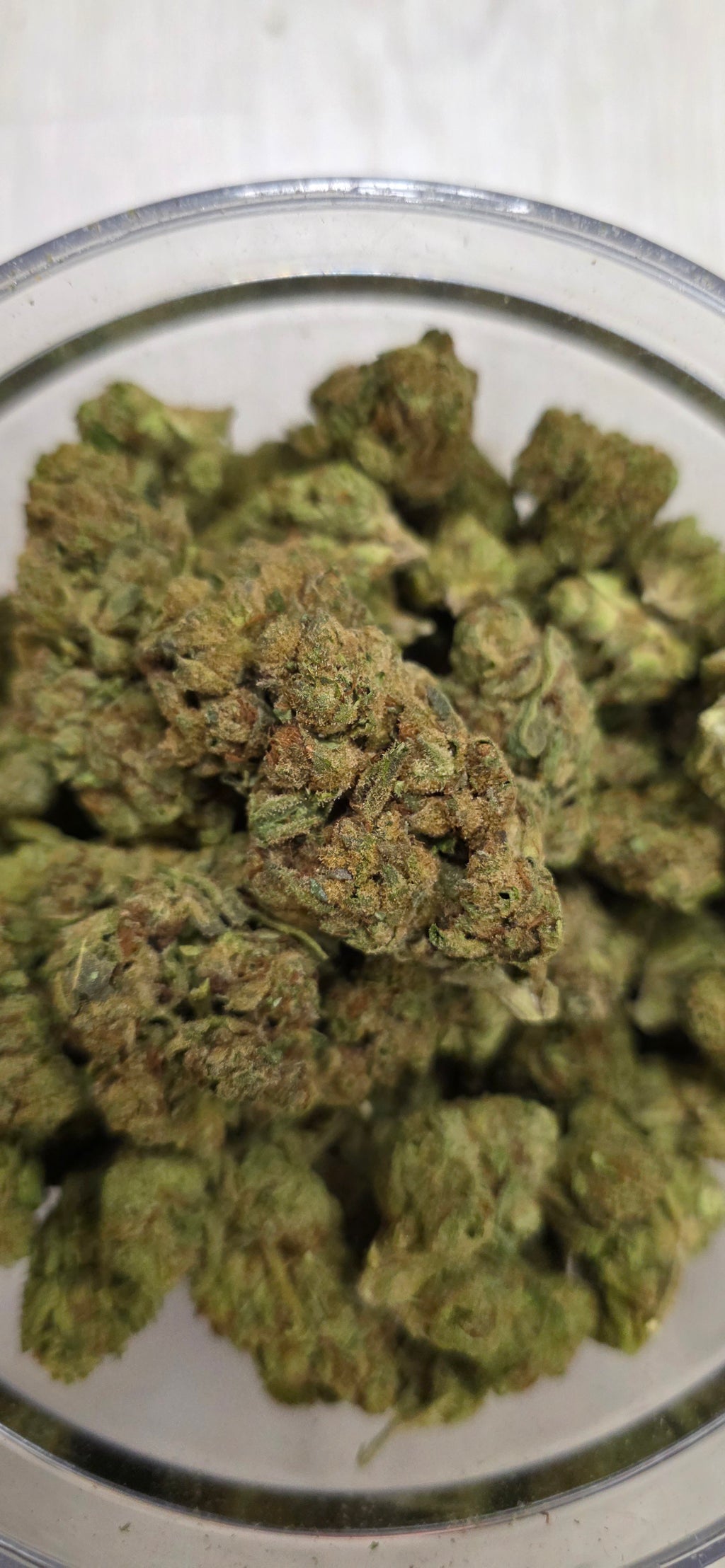 💲Budget Strains 💲