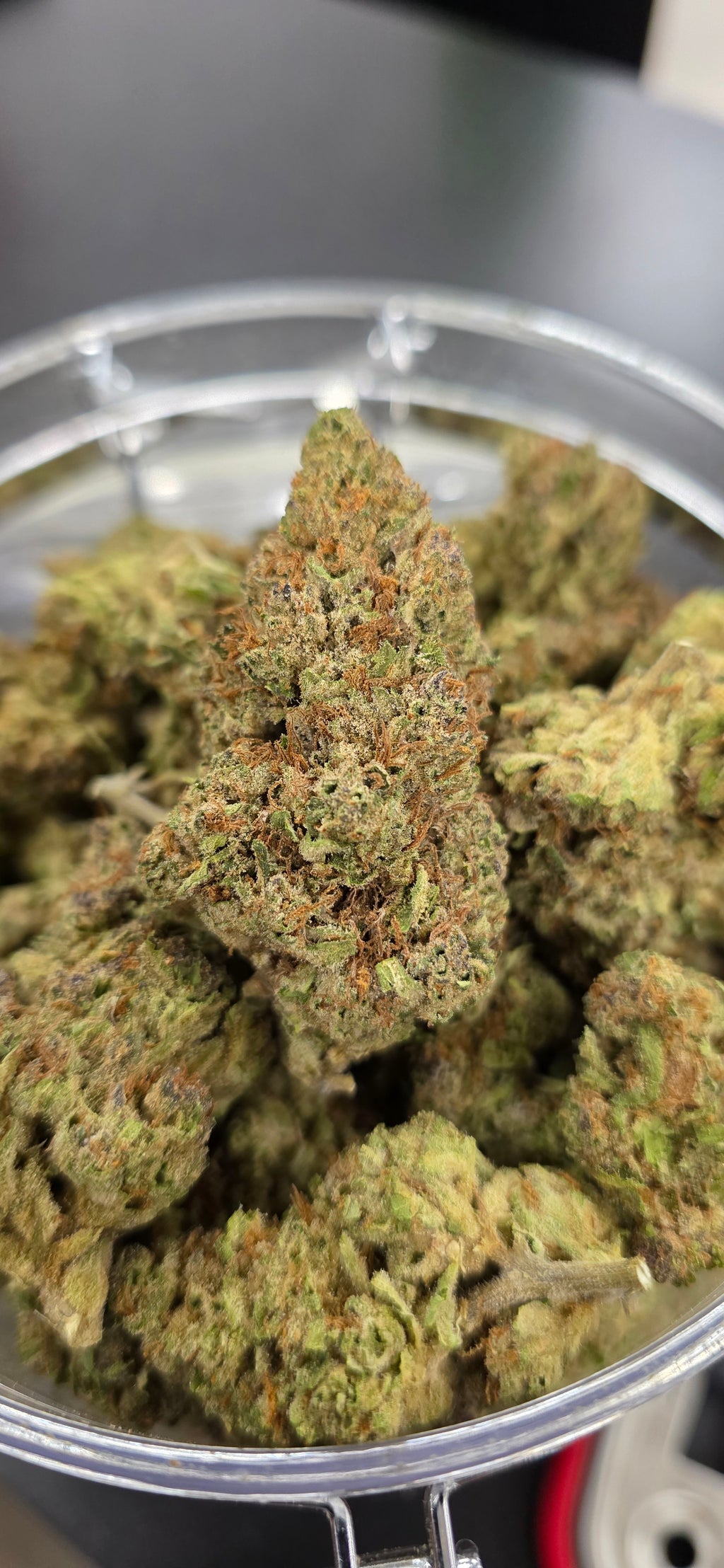 💲Budget Strains 💲