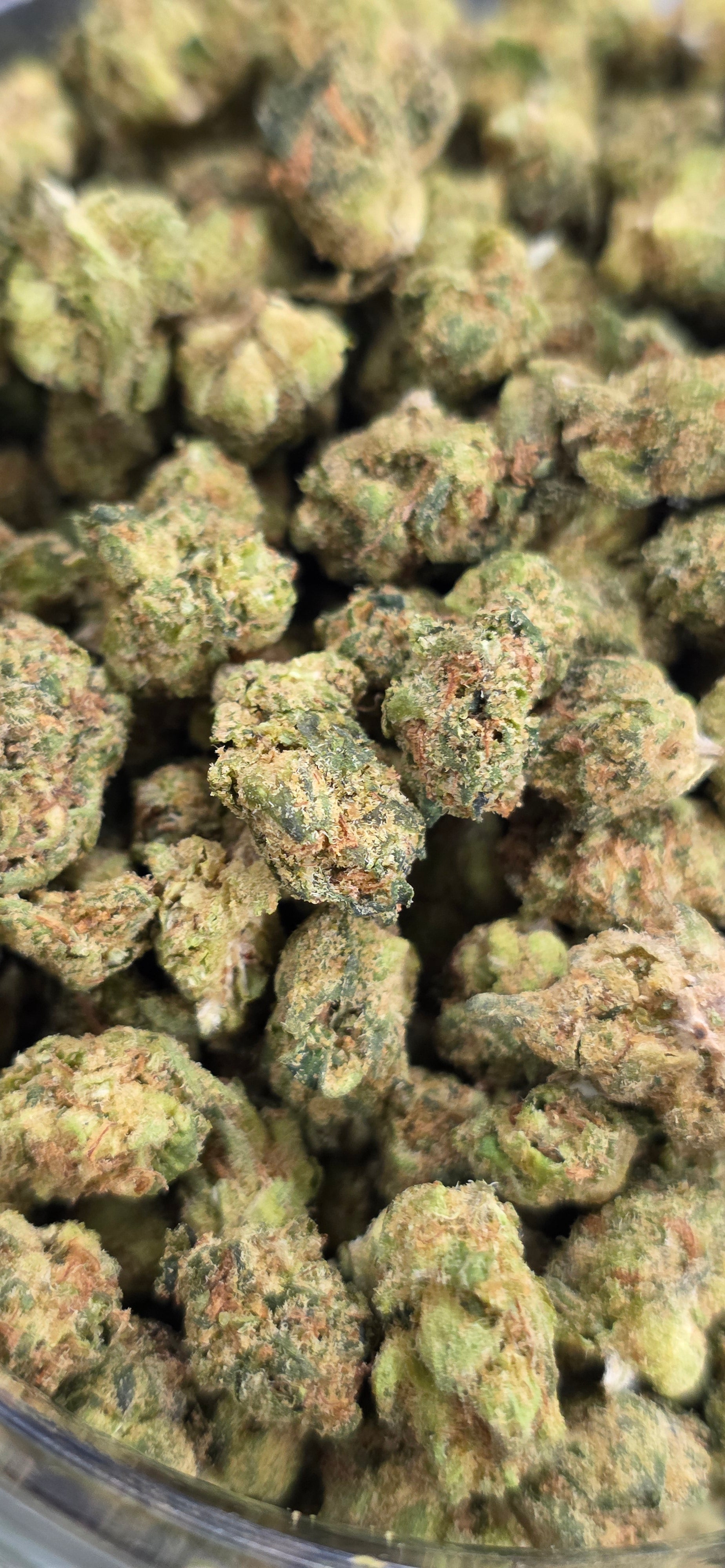 Popcorn Specials ⛽️