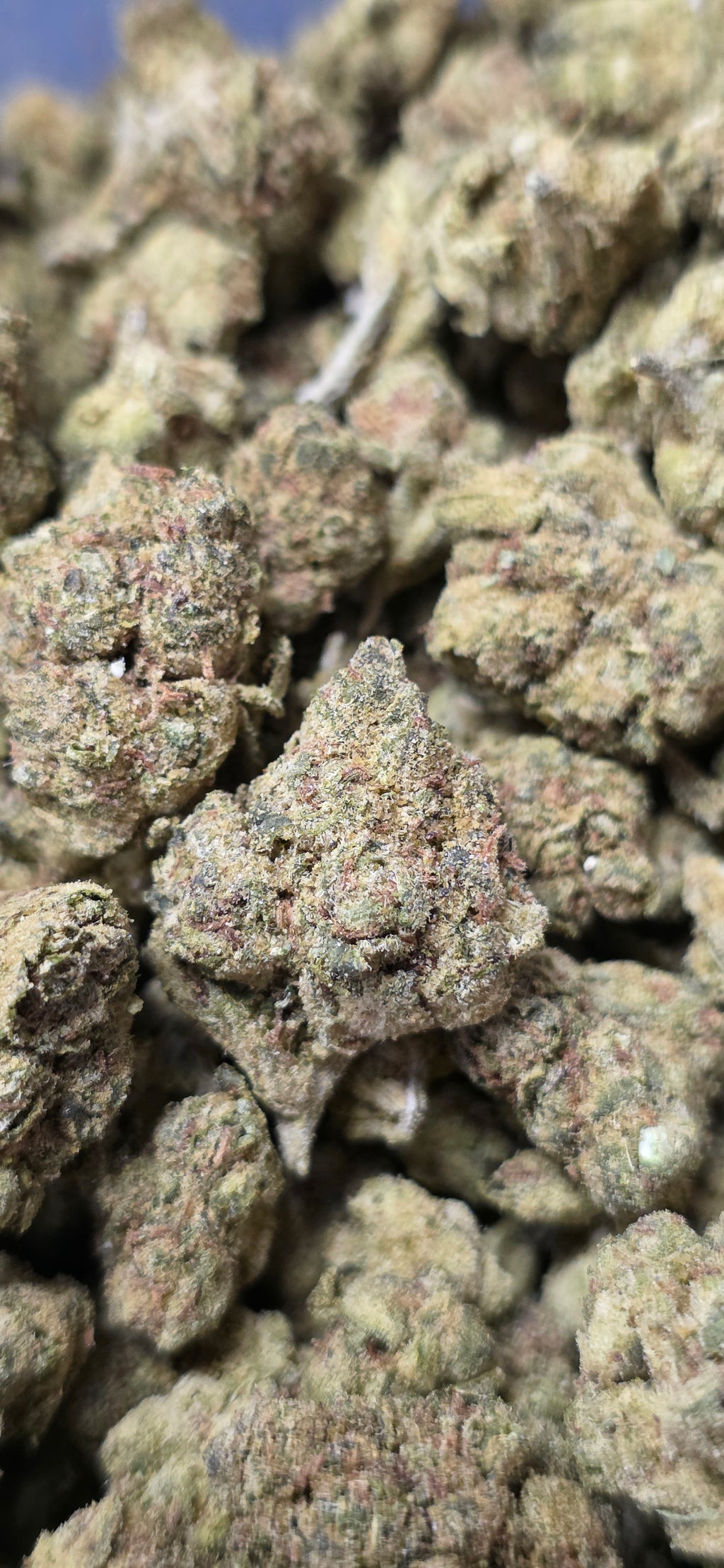 💲Budget Strains 💲