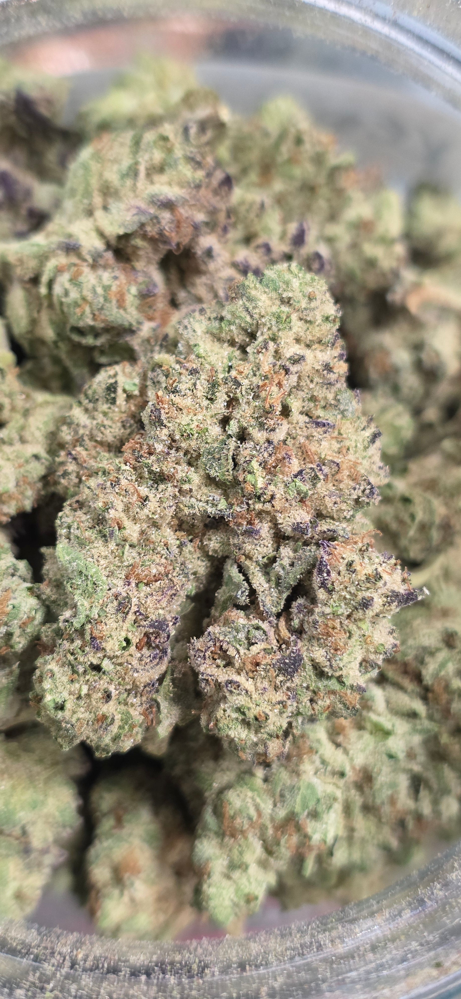 AAA+ Indoor THC-A Flower  ( Hybrid )