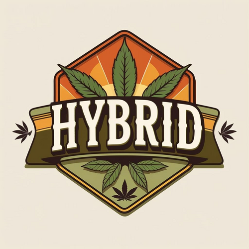 AAA+ Indoor THC-A Flower  ( Hybrid )