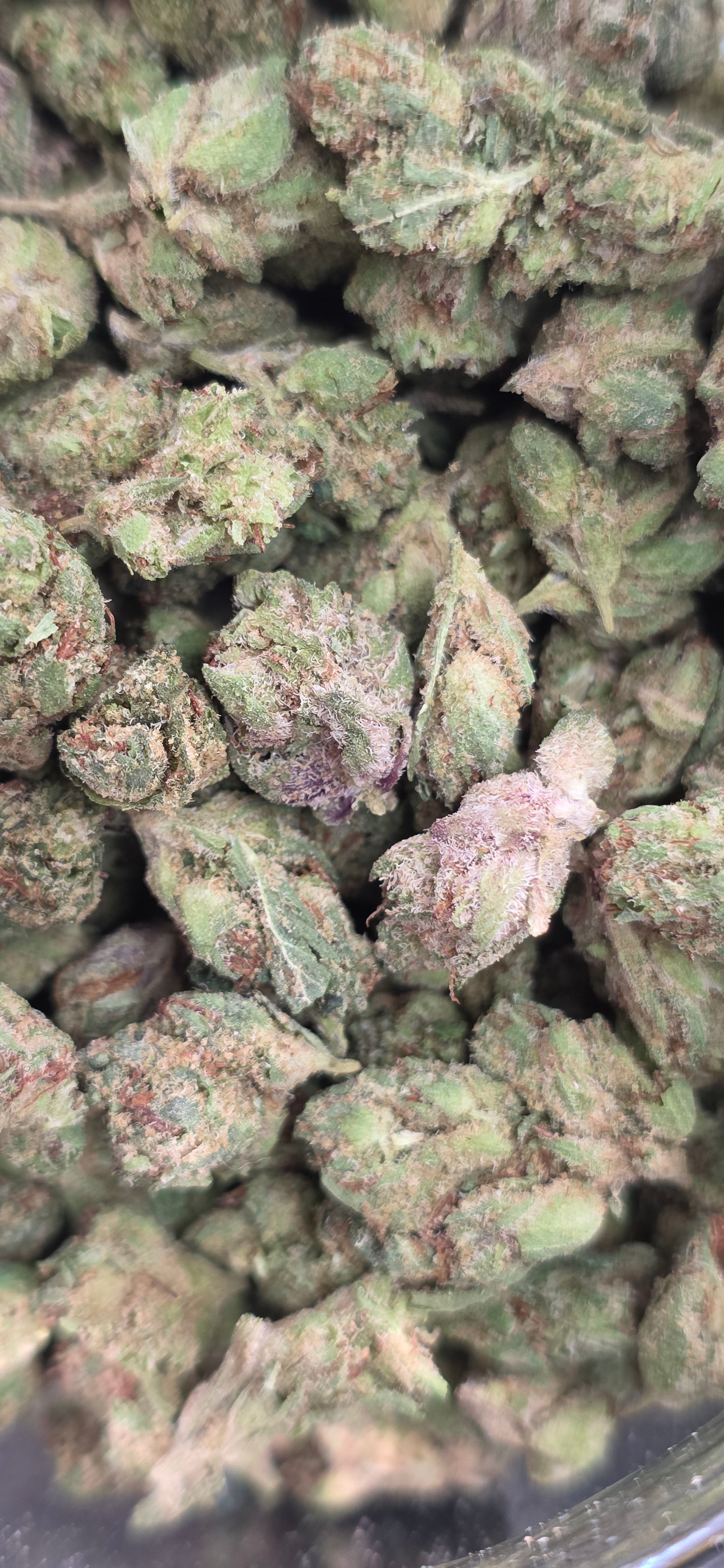 Popcorn Specials ⛽️