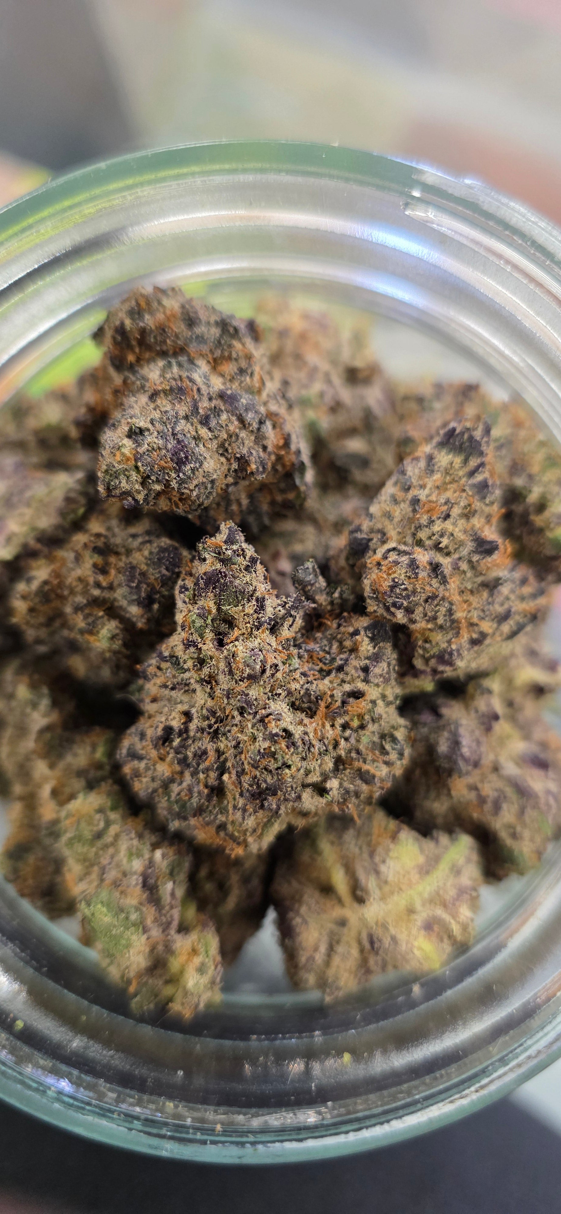 Space Guava - Exclusive