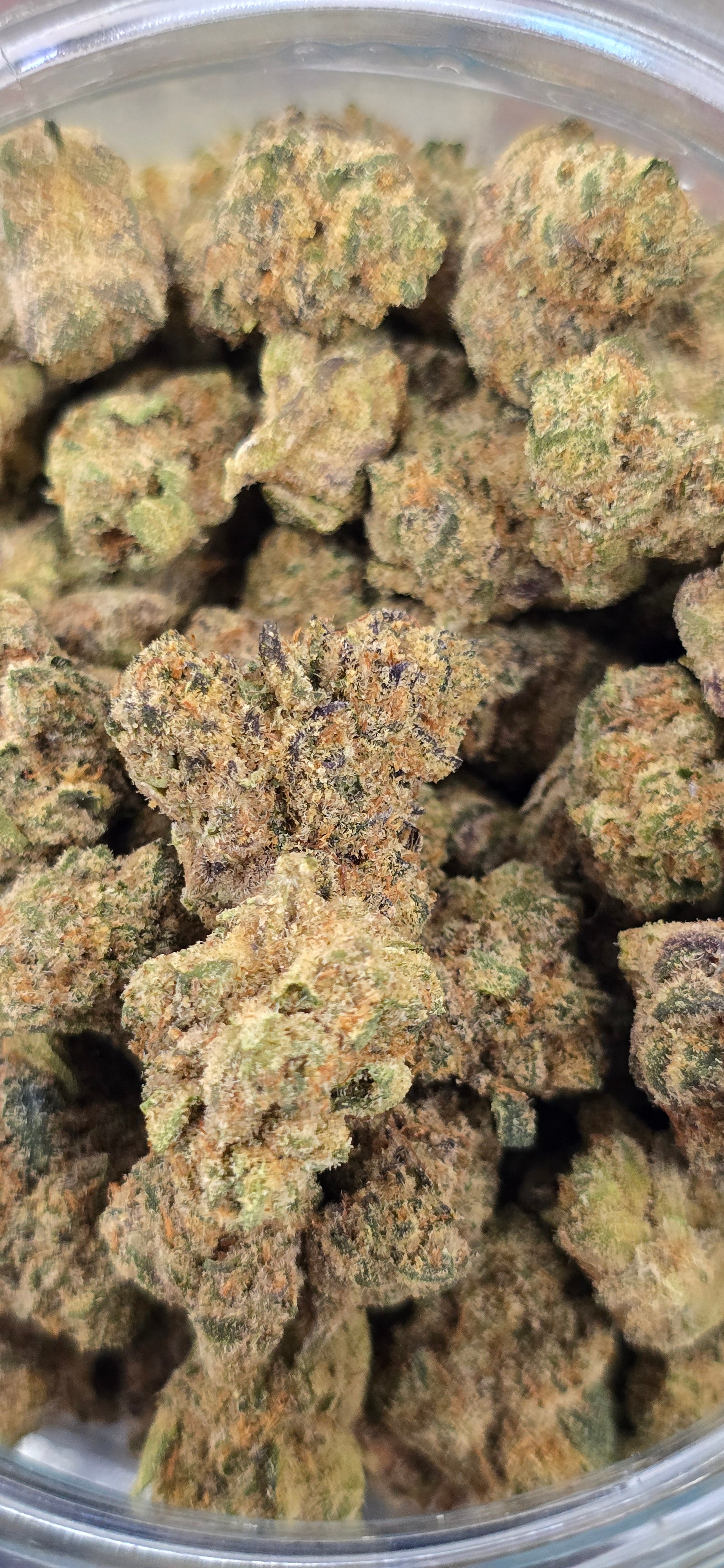 AAA+ Indoor THC-A Flower  ( Hybrid )