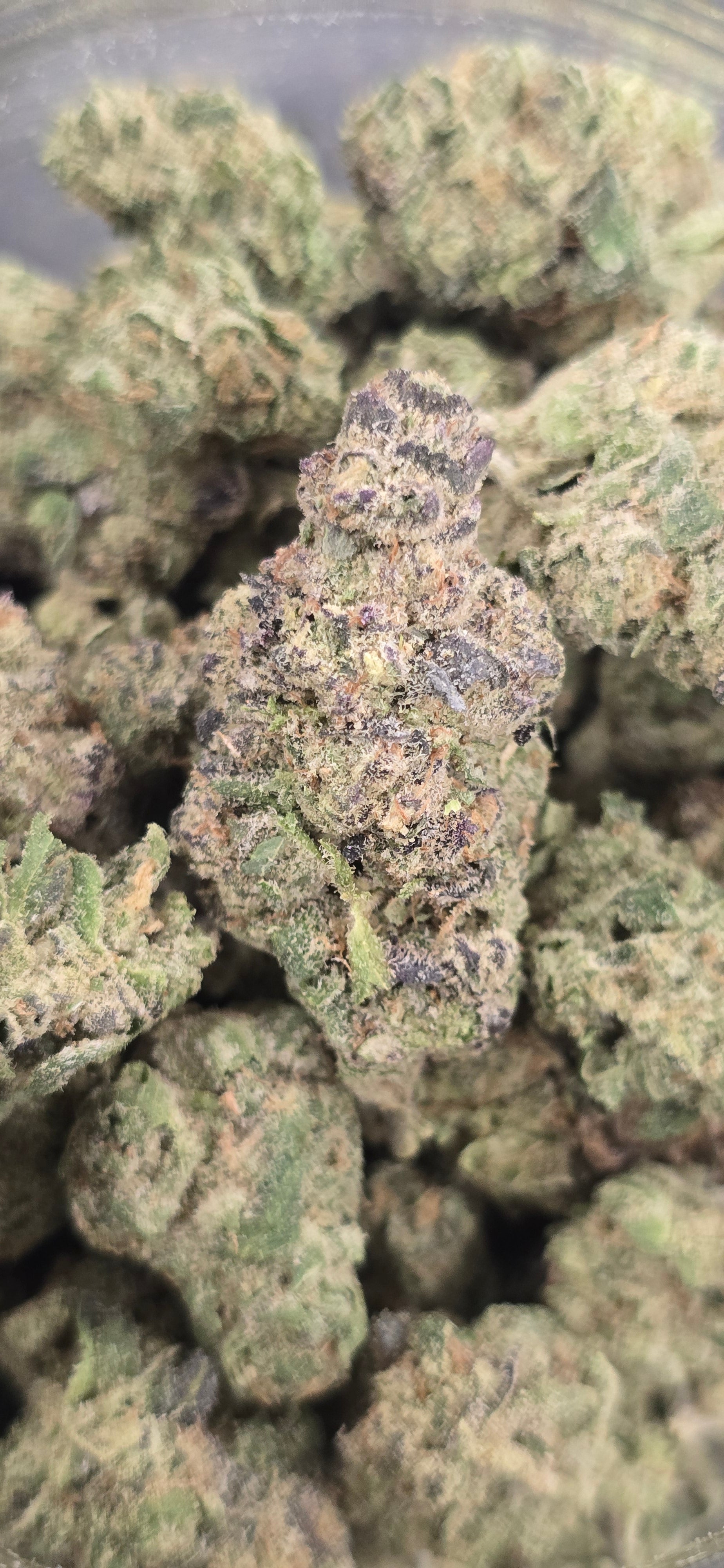 💚 Top Tier Strains 💚