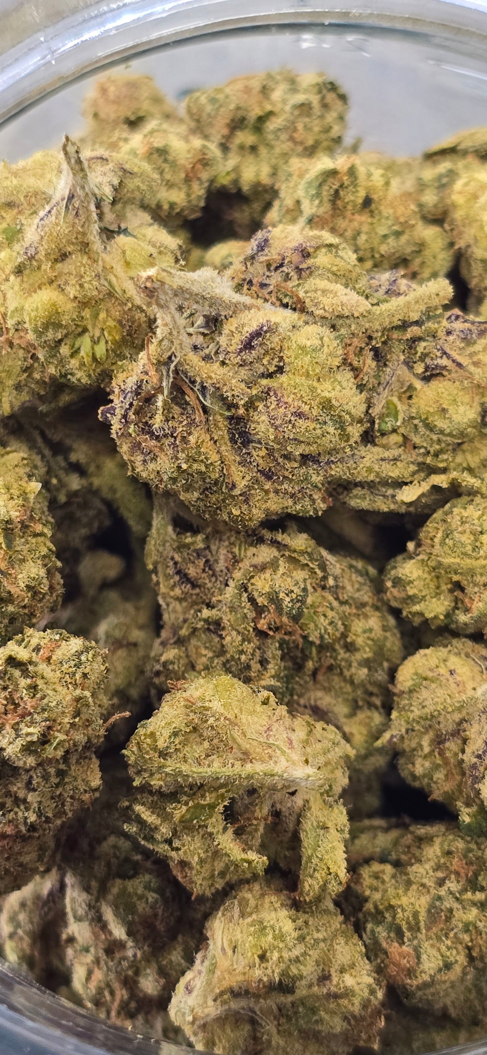 AAA+ Indoor THC-A Flower  ( Indica )