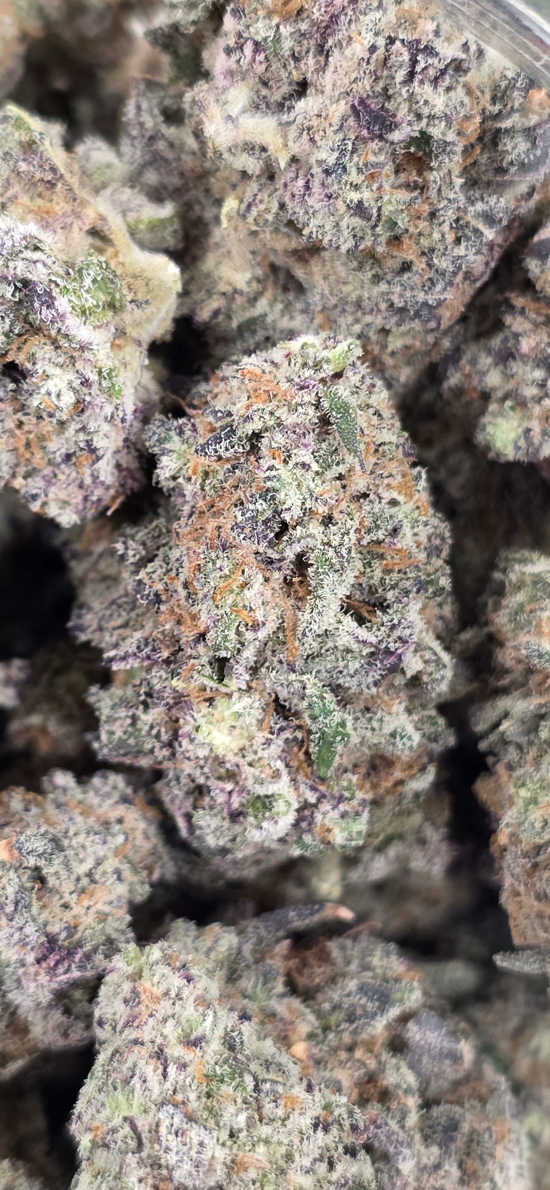 💚 Top Tier Strains 💚