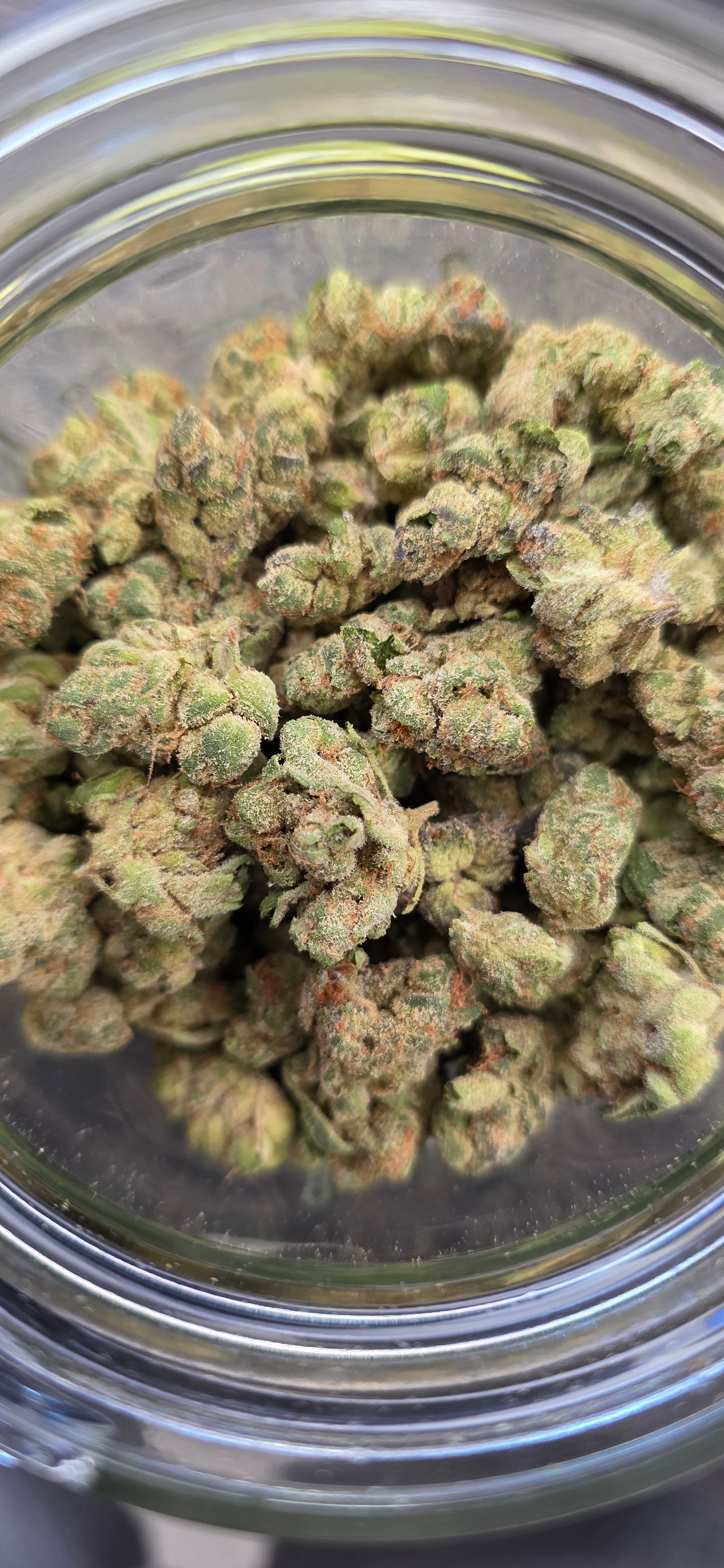 Popcorn Specials ⛽️