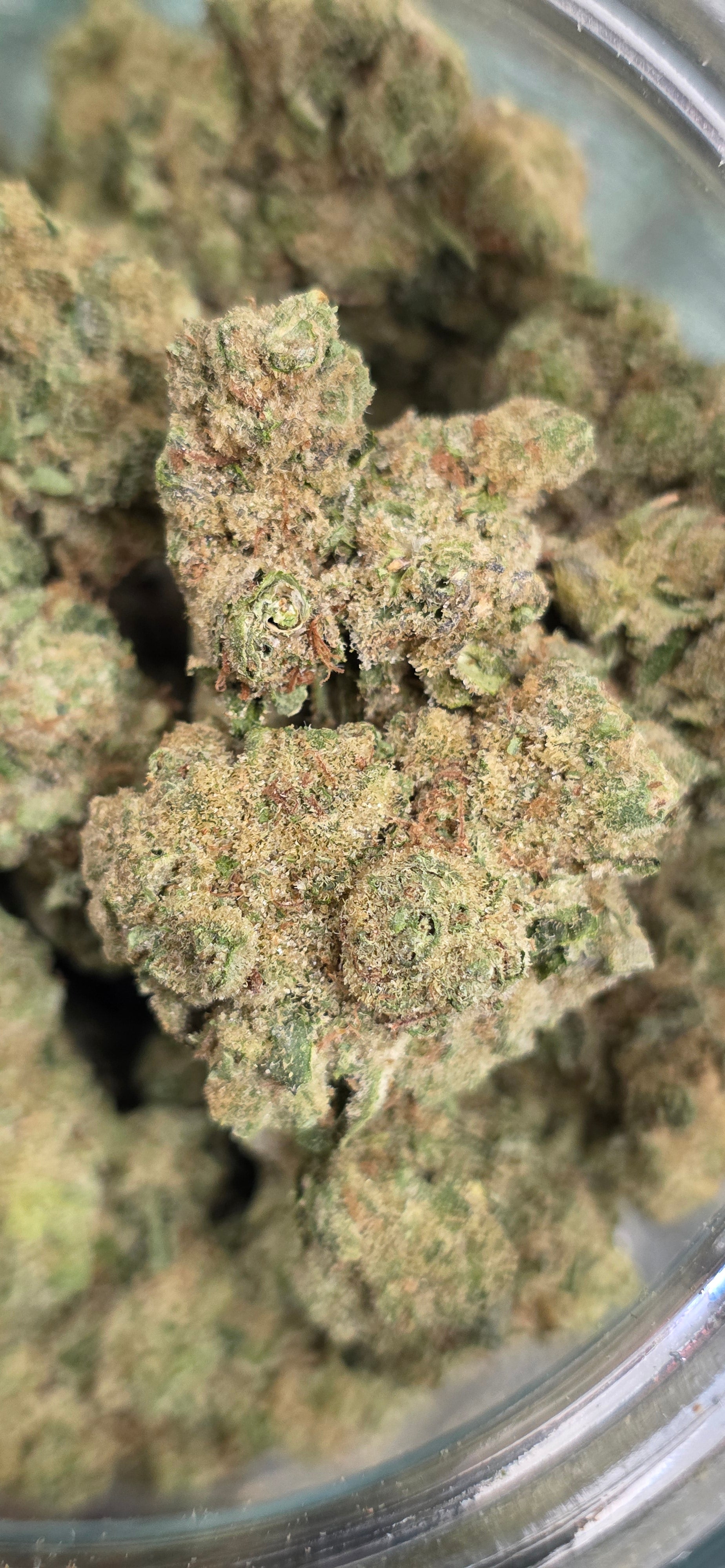 💚 Top Tier Strains 💚