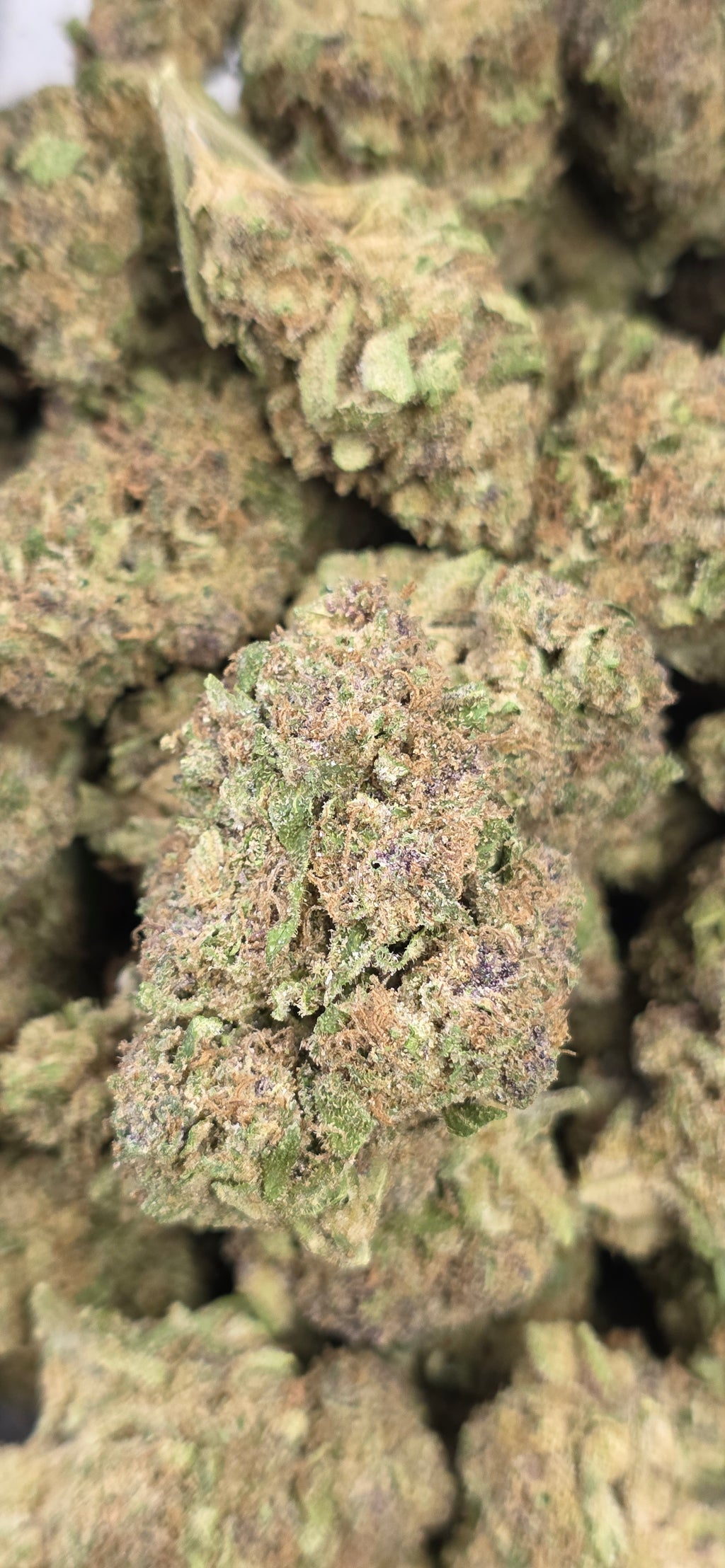 💲Budget Strains 💲