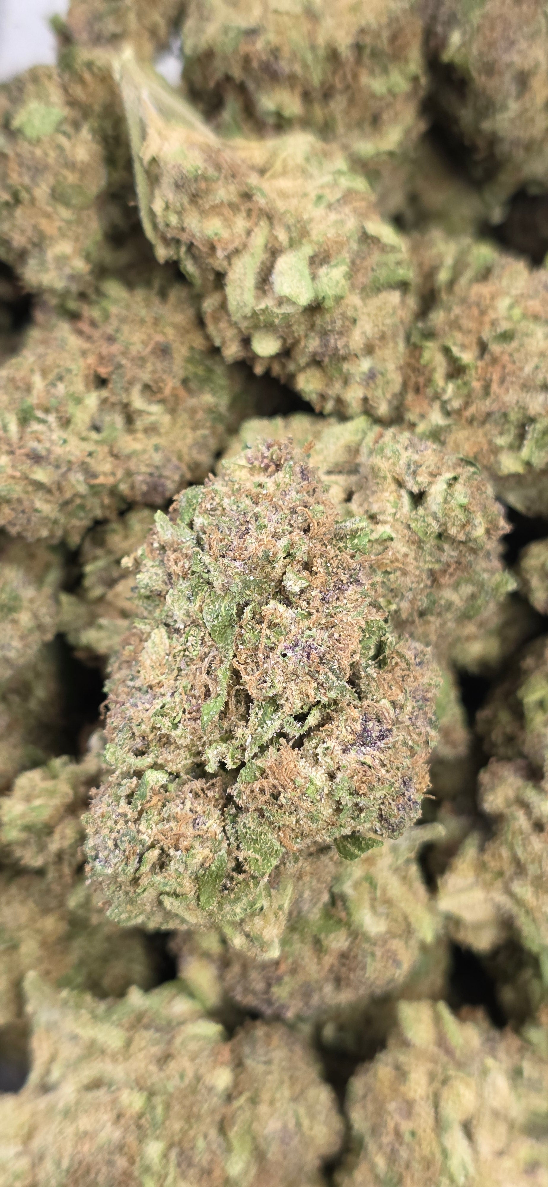 💲Budget Strains 💲