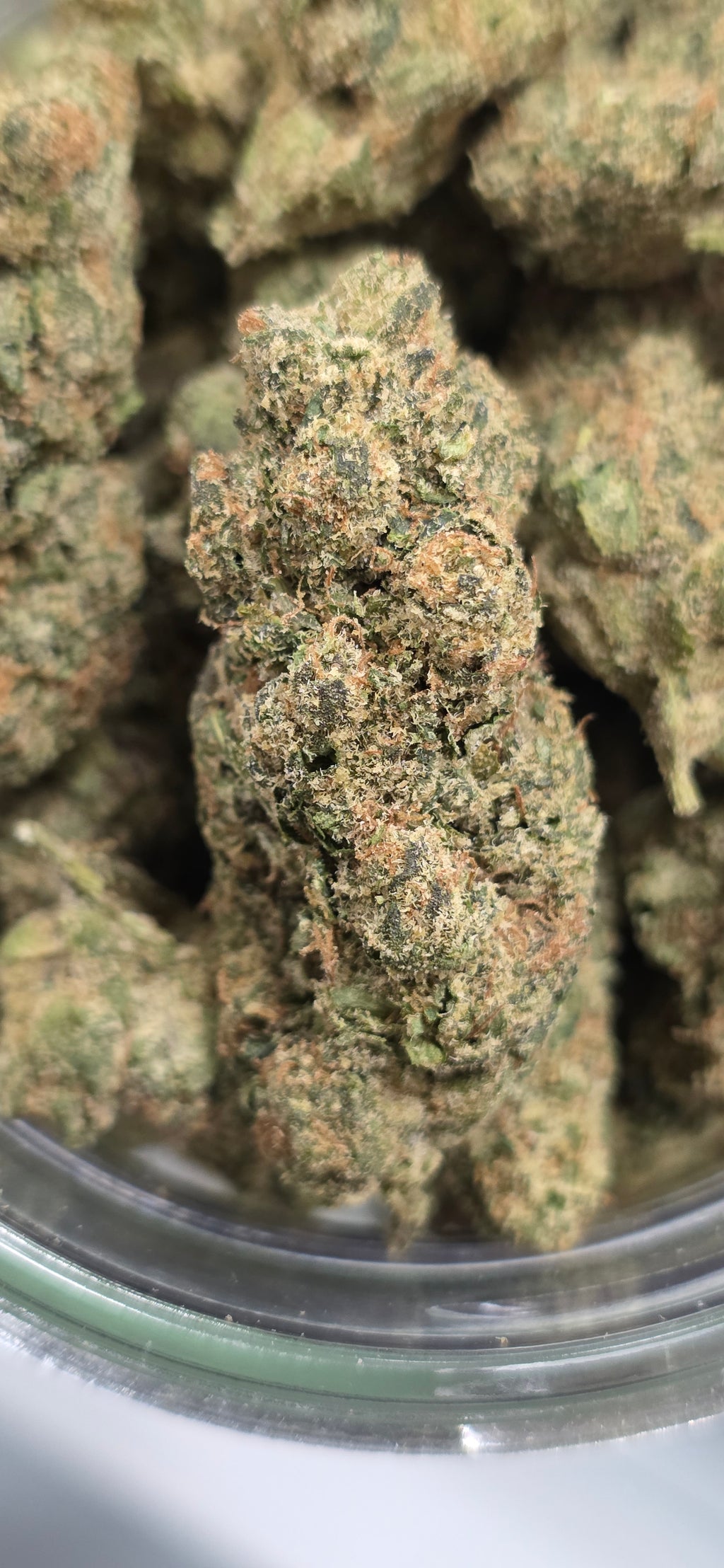 AAA+ Indoor THC-A Flower  ( Hybrid )