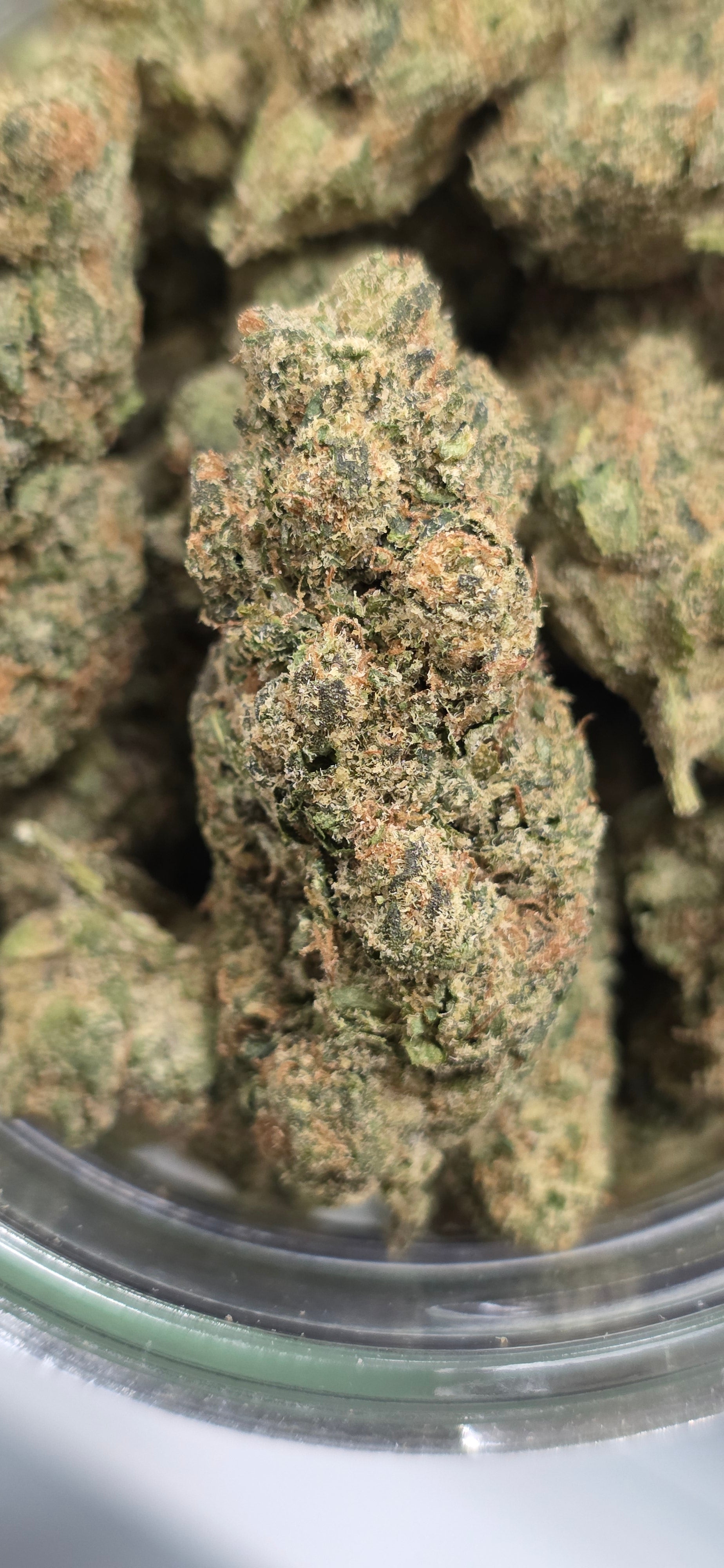 AAA+ Indoor THC-A Flower  ( Hybrid )