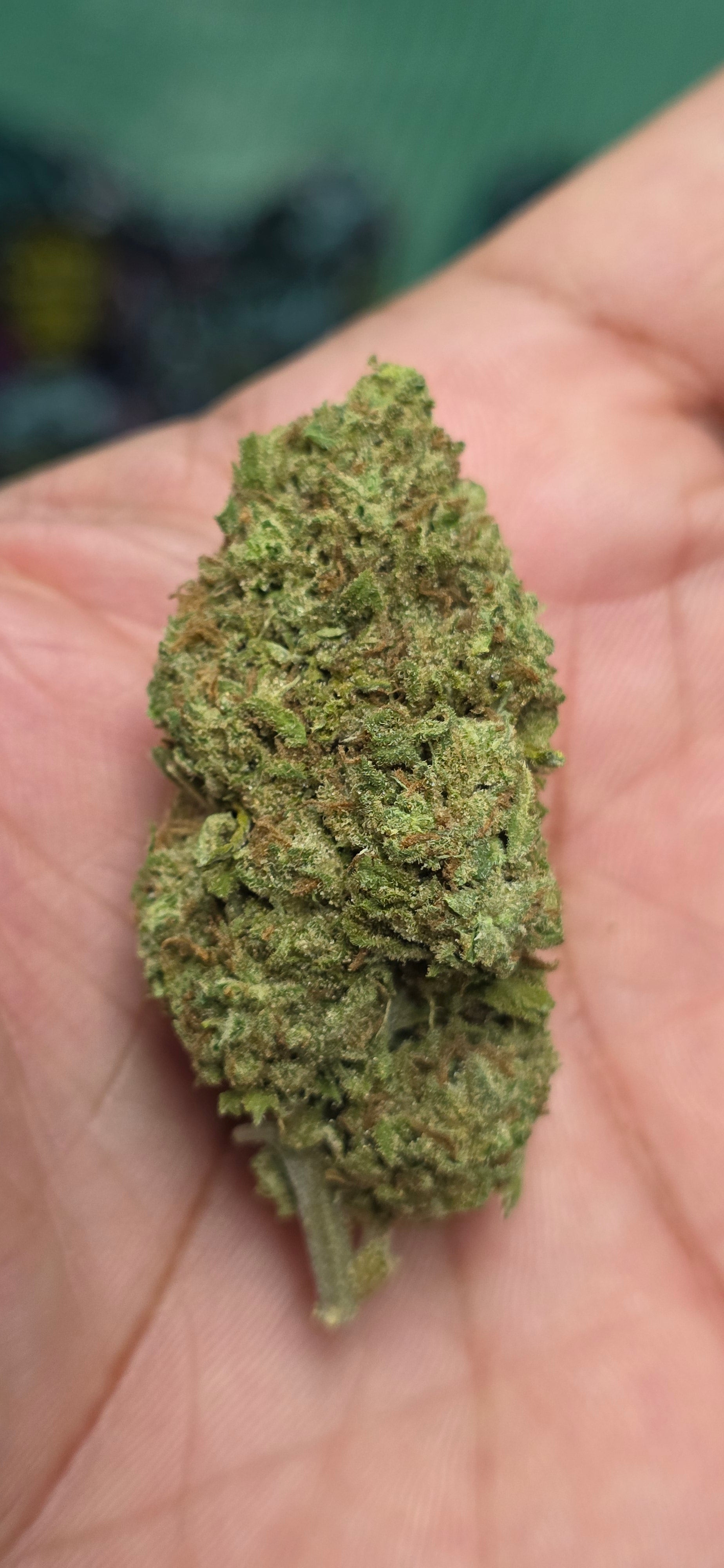 💲Budget Strains 💲