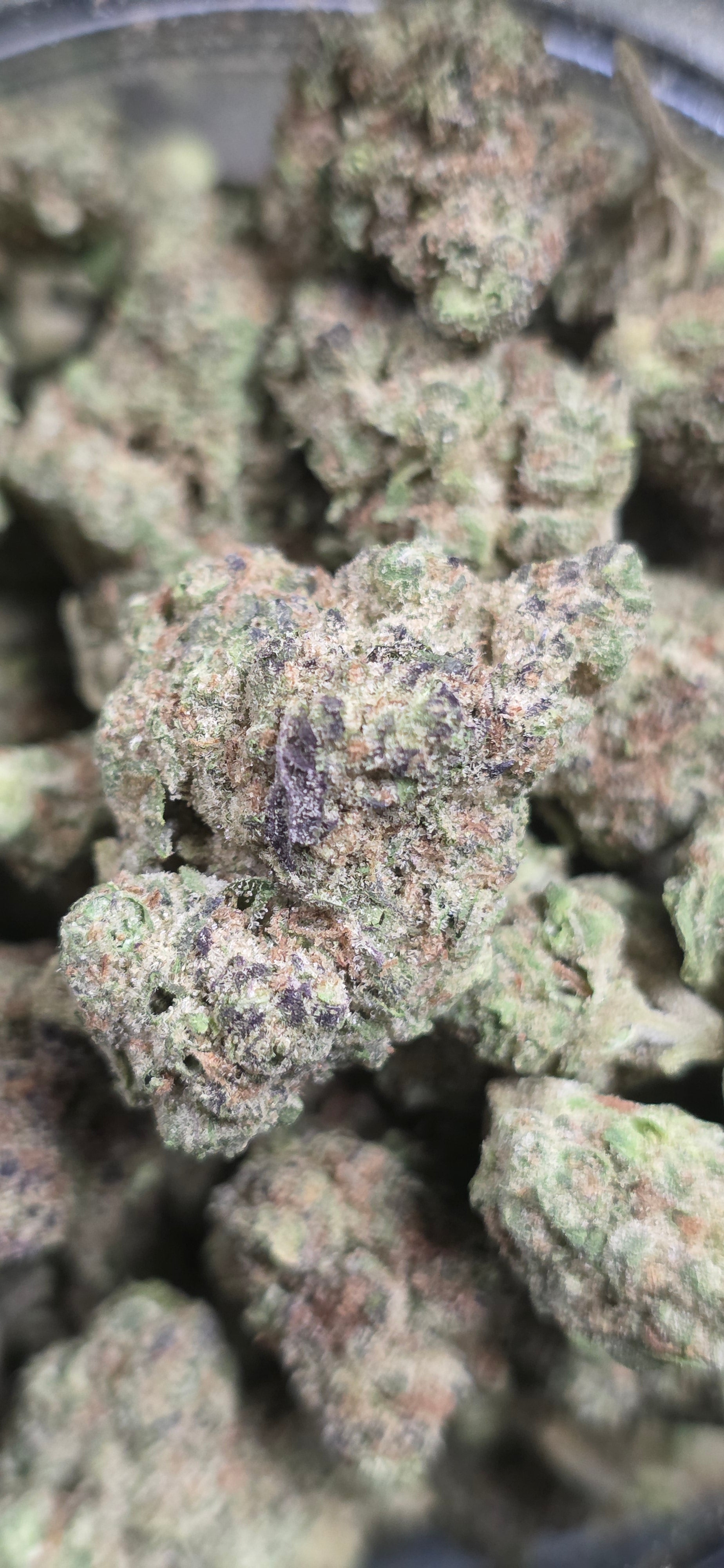 AAA+ Indoor THC-A Flower  ( Indica )