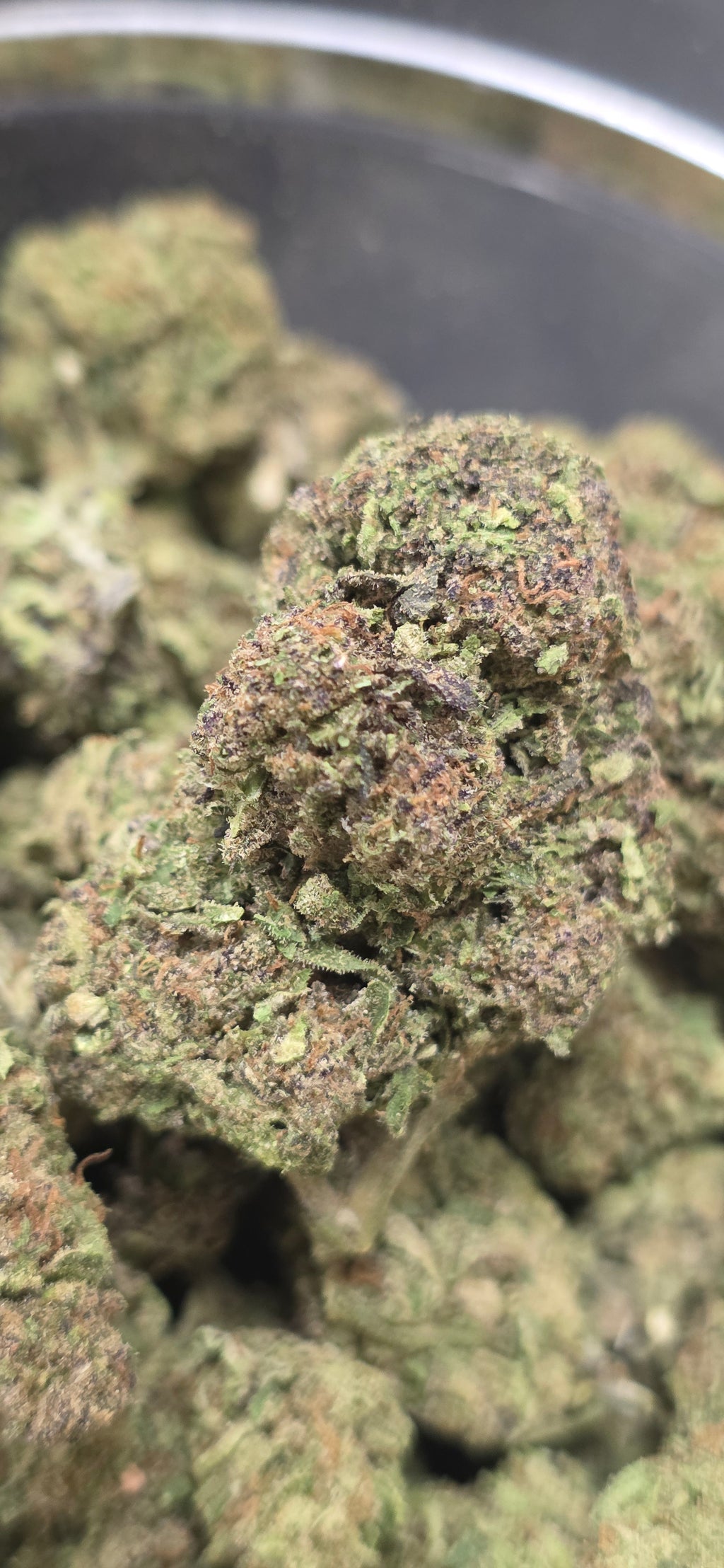 💲Budget Strains 💲