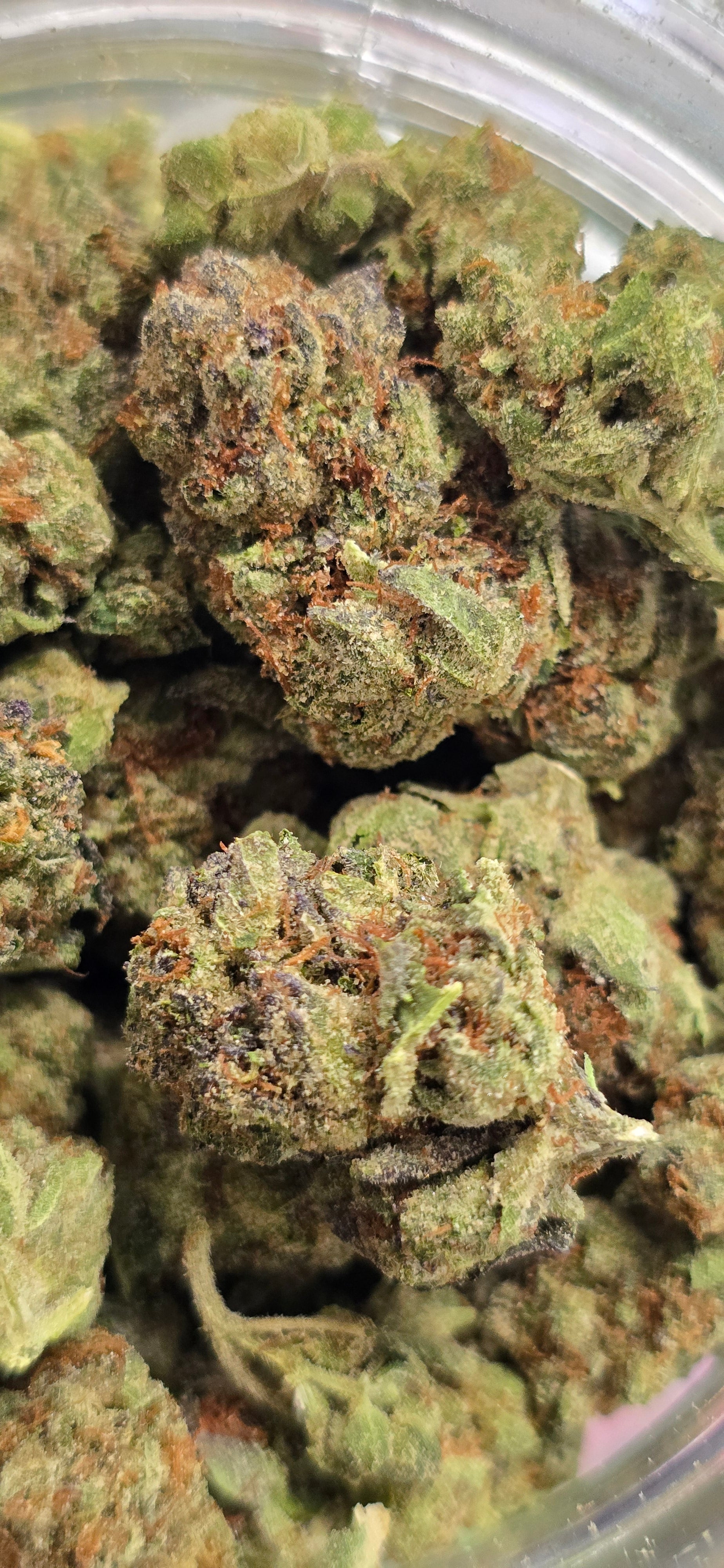 AAA+ Indoor THC-A Flower  ( Indica )