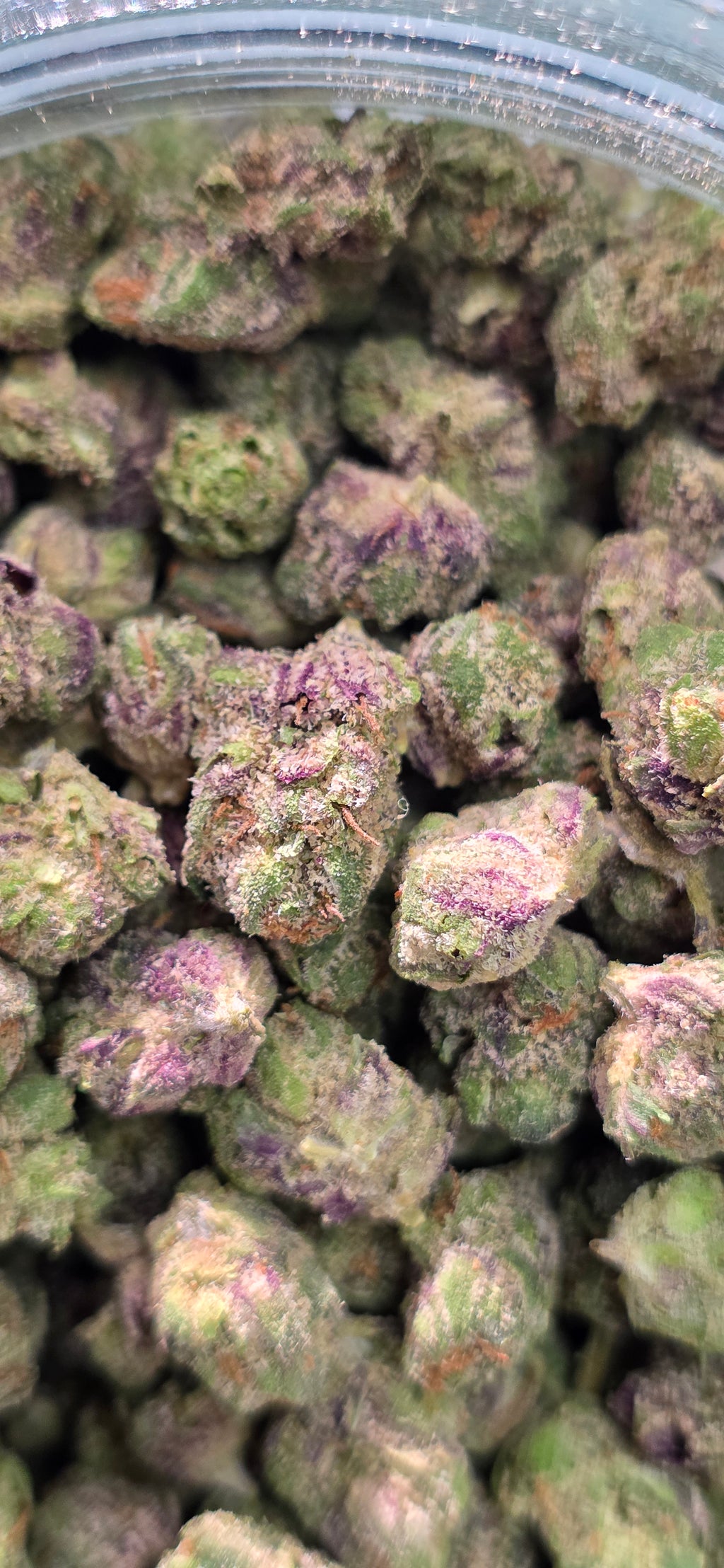 Popcorn Specials ⛽️