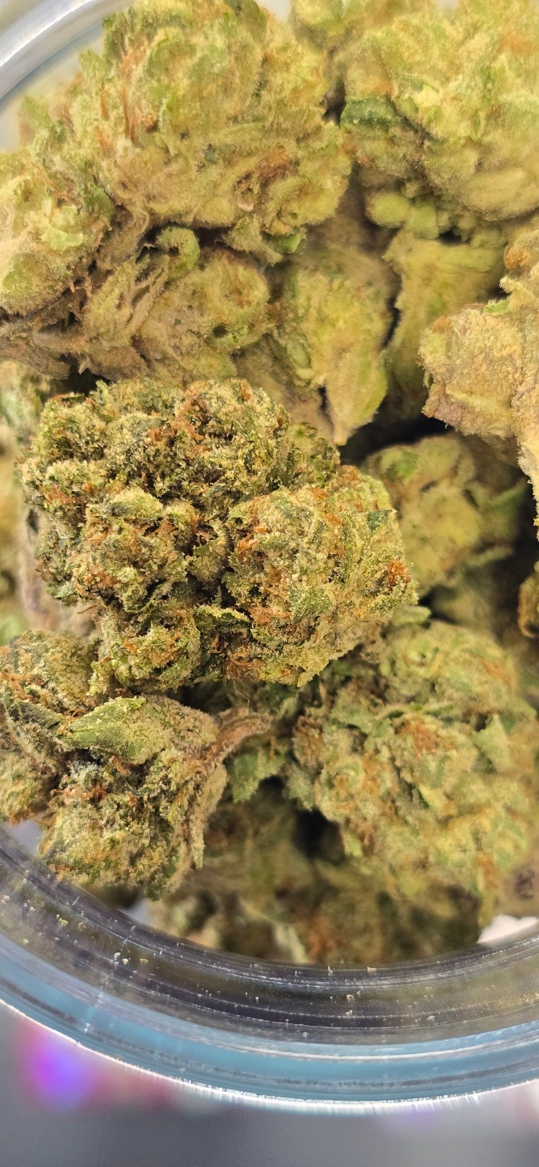 AAA+ Indoor THC-A Flower  ( Sativa )