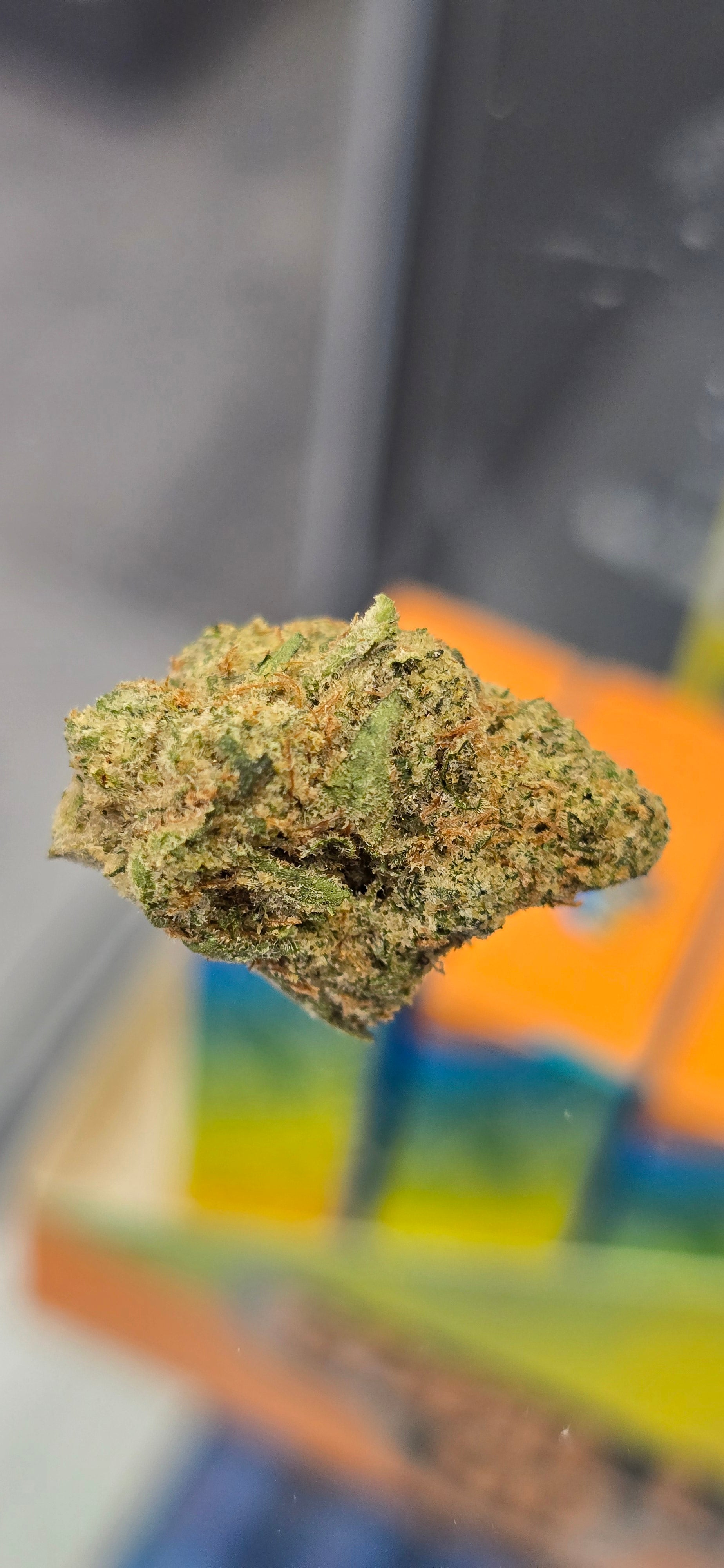 AAA+ Indoor THC-A Flower  ( Sativa )